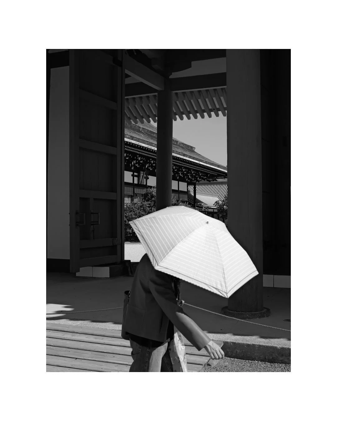 Kyoto, part l
#japan #kyoto #kyotojapan #travelphotography #traveljapan #photography #photographer