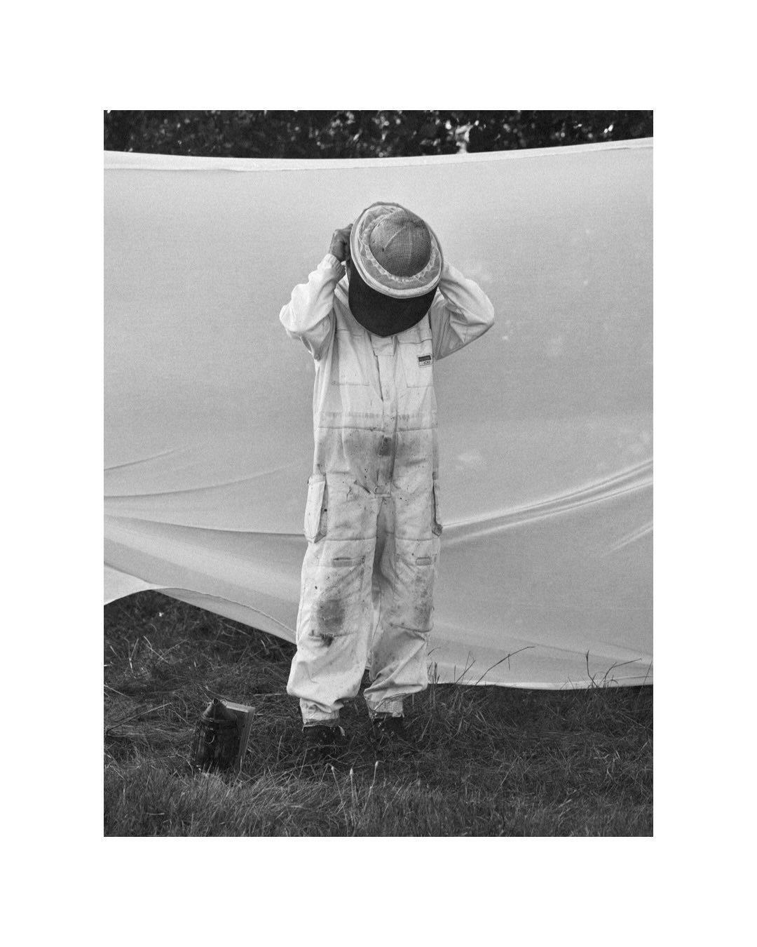 l&rsquo;apiculteur 

happy to share a project I realized last year &mdash; together with @daniela.culinaire, I visited a beekeeper in Corsica, learned about this beautiful craft and tasted the most delicious honey.

many thanks to @apa_e_mele, and es