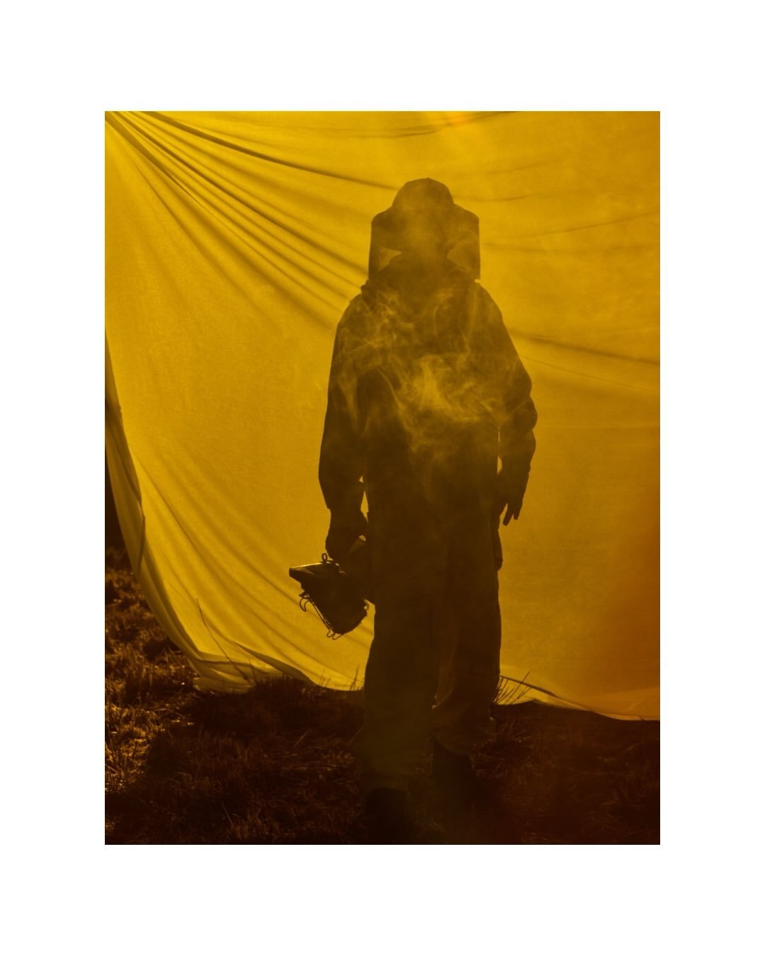 l&rsquo;apiculteur 

@apa_e_mele 💛