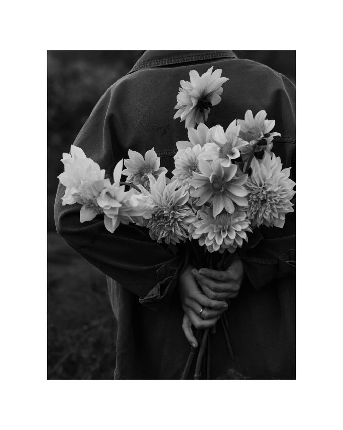 Flowers

@mathis.blumen 🧡