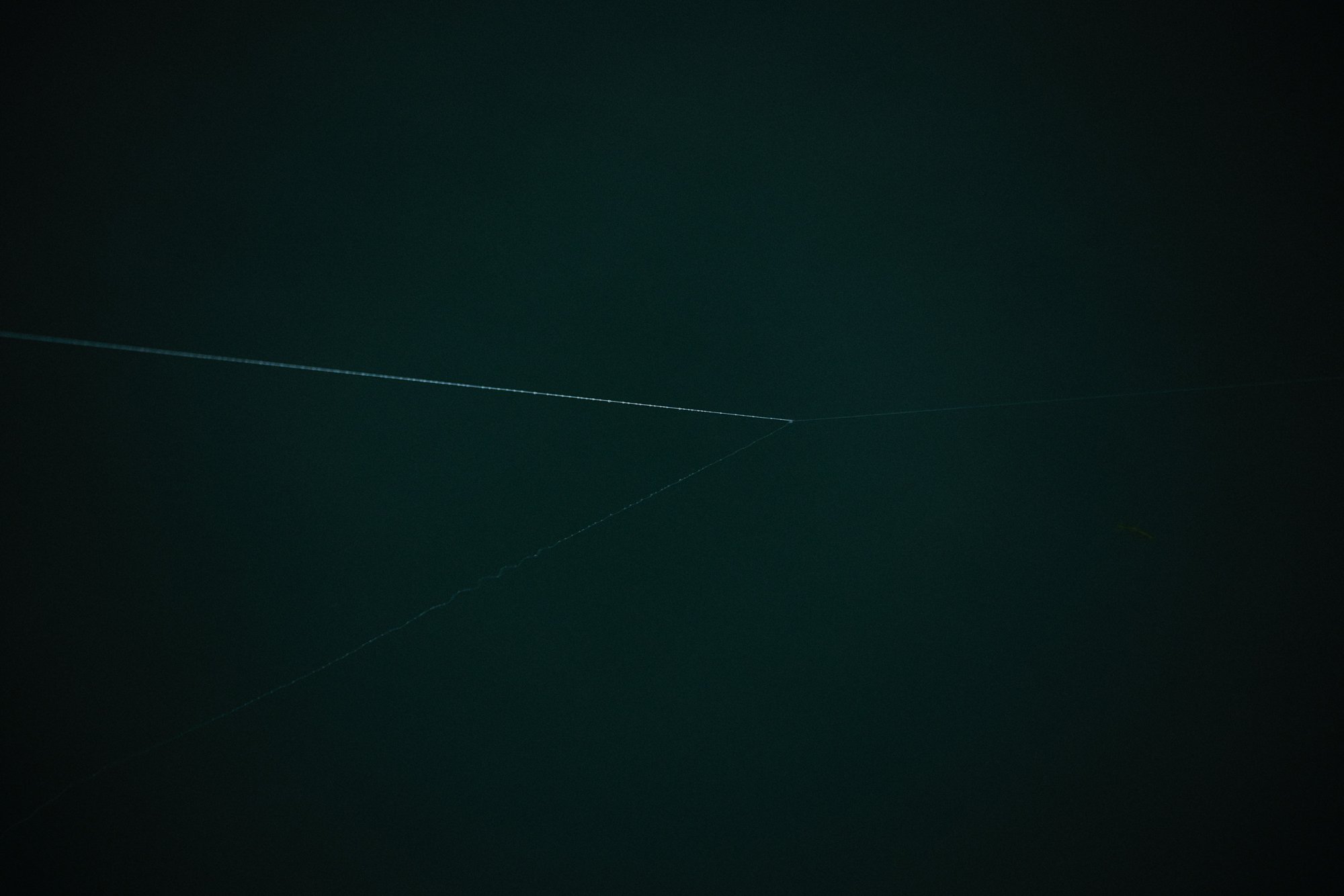 claudialink-photodesign-fotografin-fischen-reportage_003.jpg