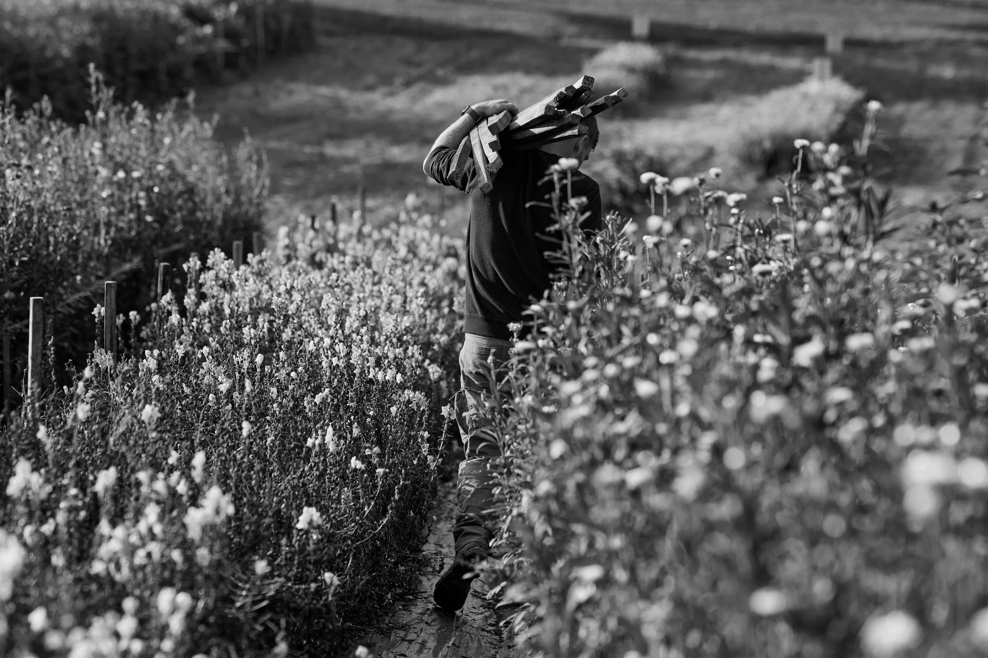 claudialink-photodesign-fotografin-reportage-mathisblumen_00006.jpg