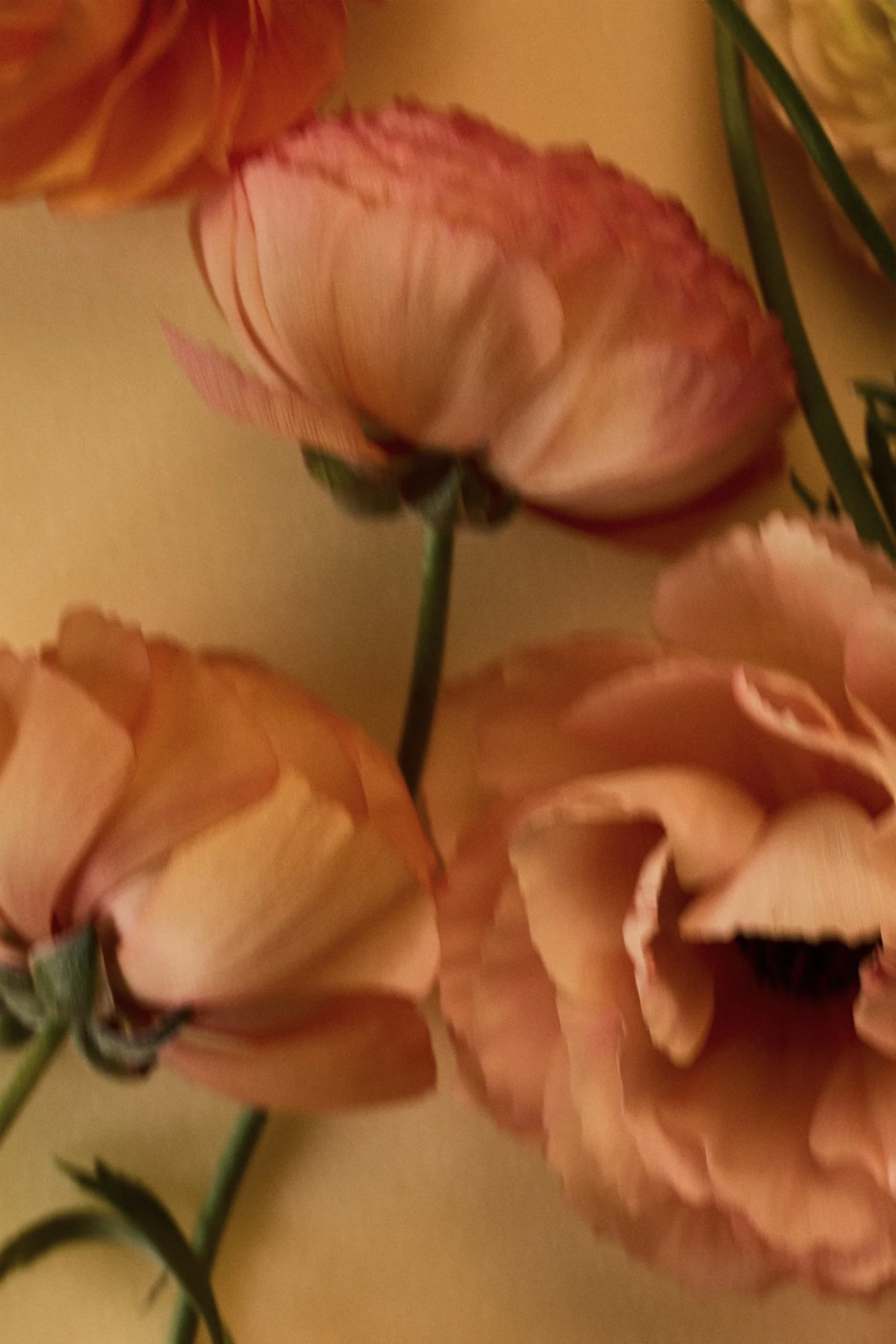 Shooting_17.04.25_RAW000320.jpg