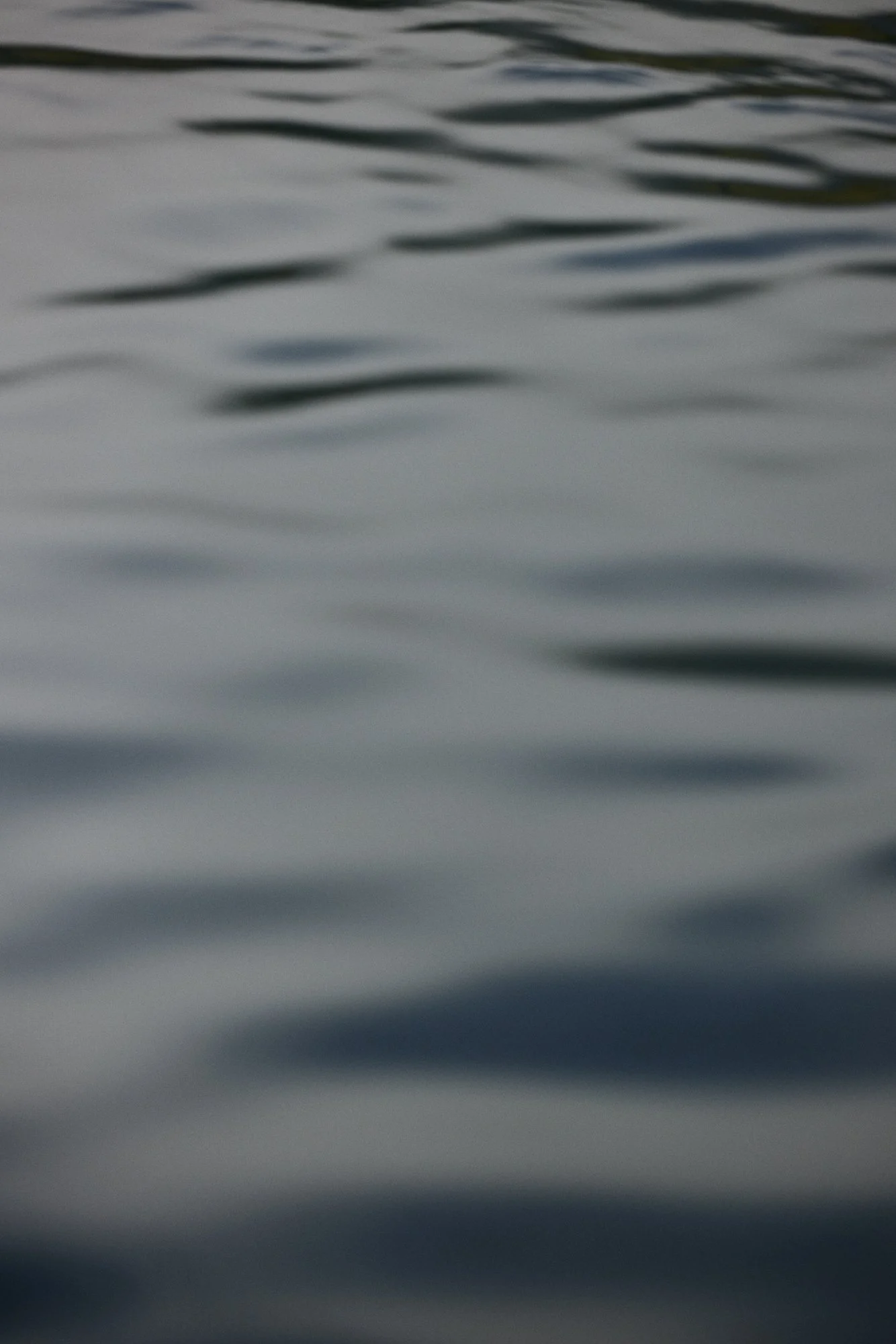 claudialink-photodesign-fotografin-fischen-reportage_0025.jpg