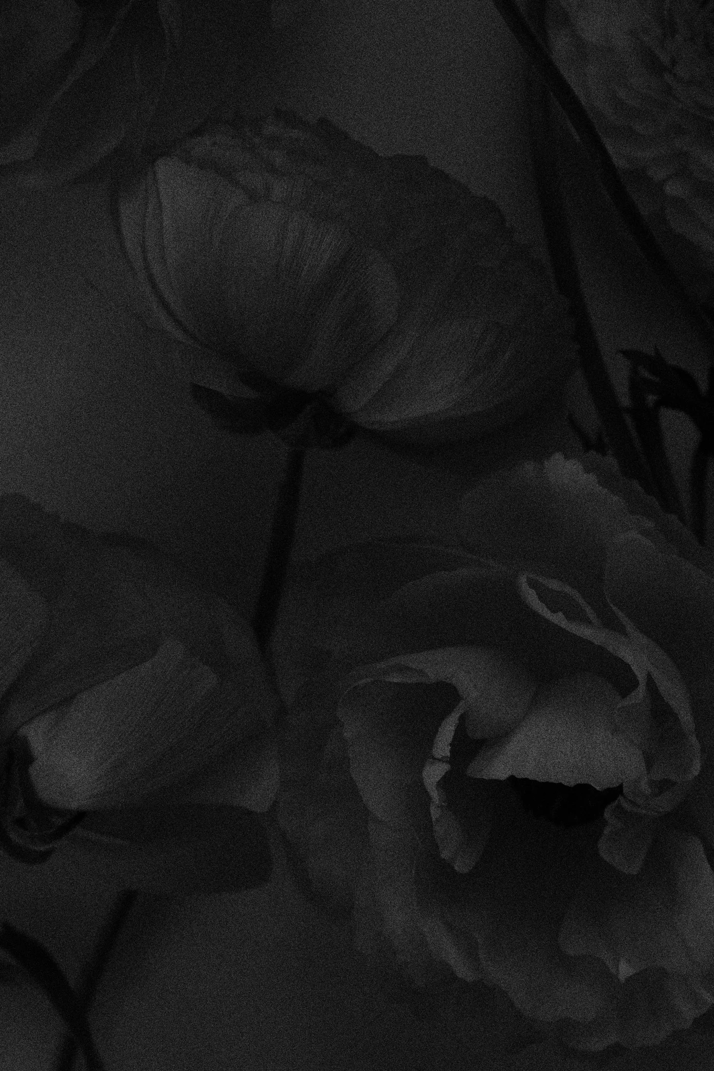 Shooting_17.04.25_RAW000322_sw.jpg