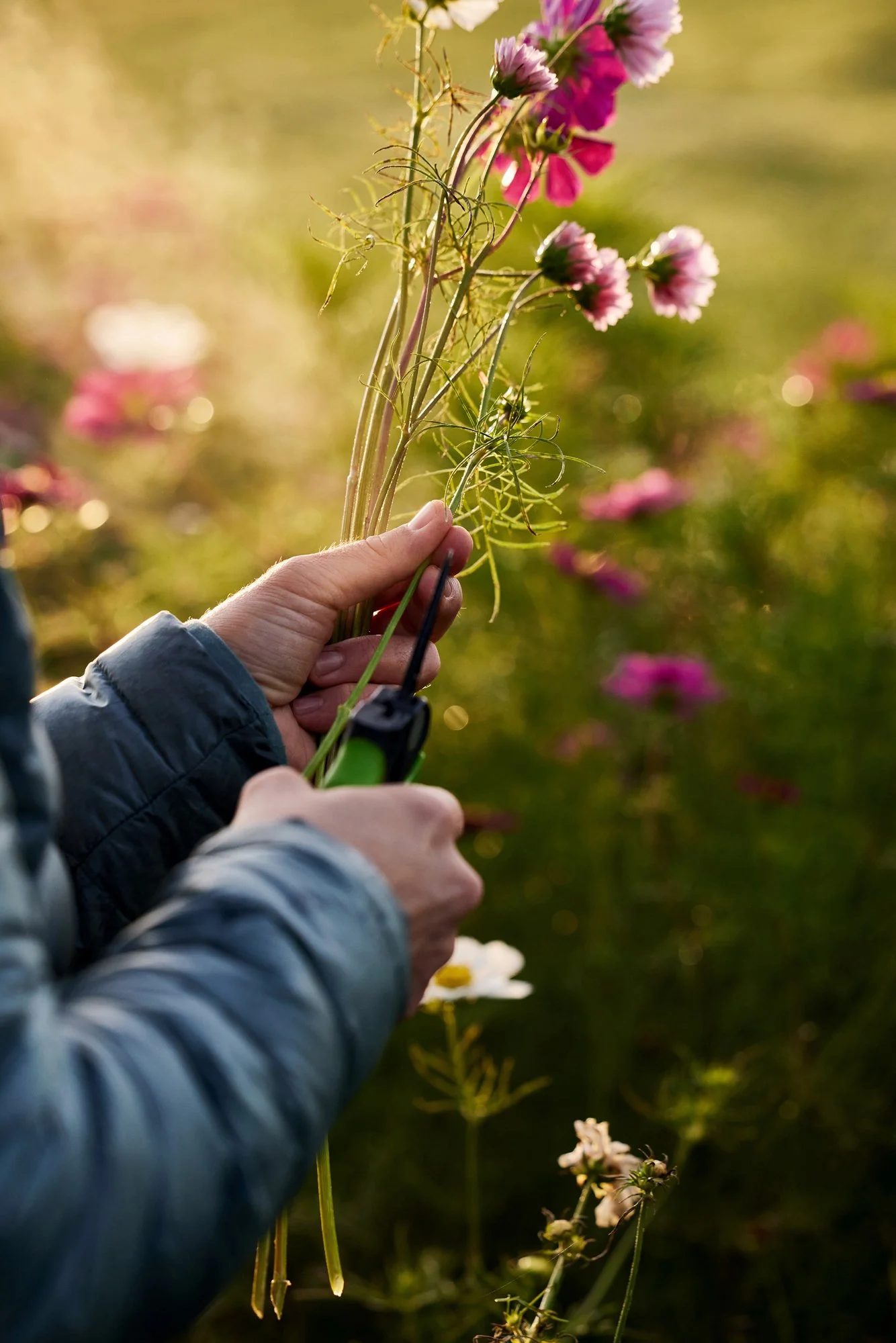 claudialink-photodesign-fotografin-reportage-mathisblumen_00044.jpg