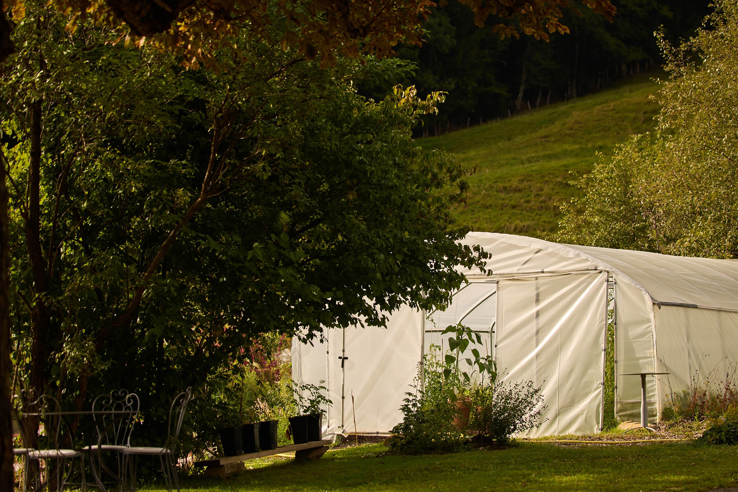 claudialink-photodesign-fotografin-GMC-Pinte des Mossettes_16.jpg