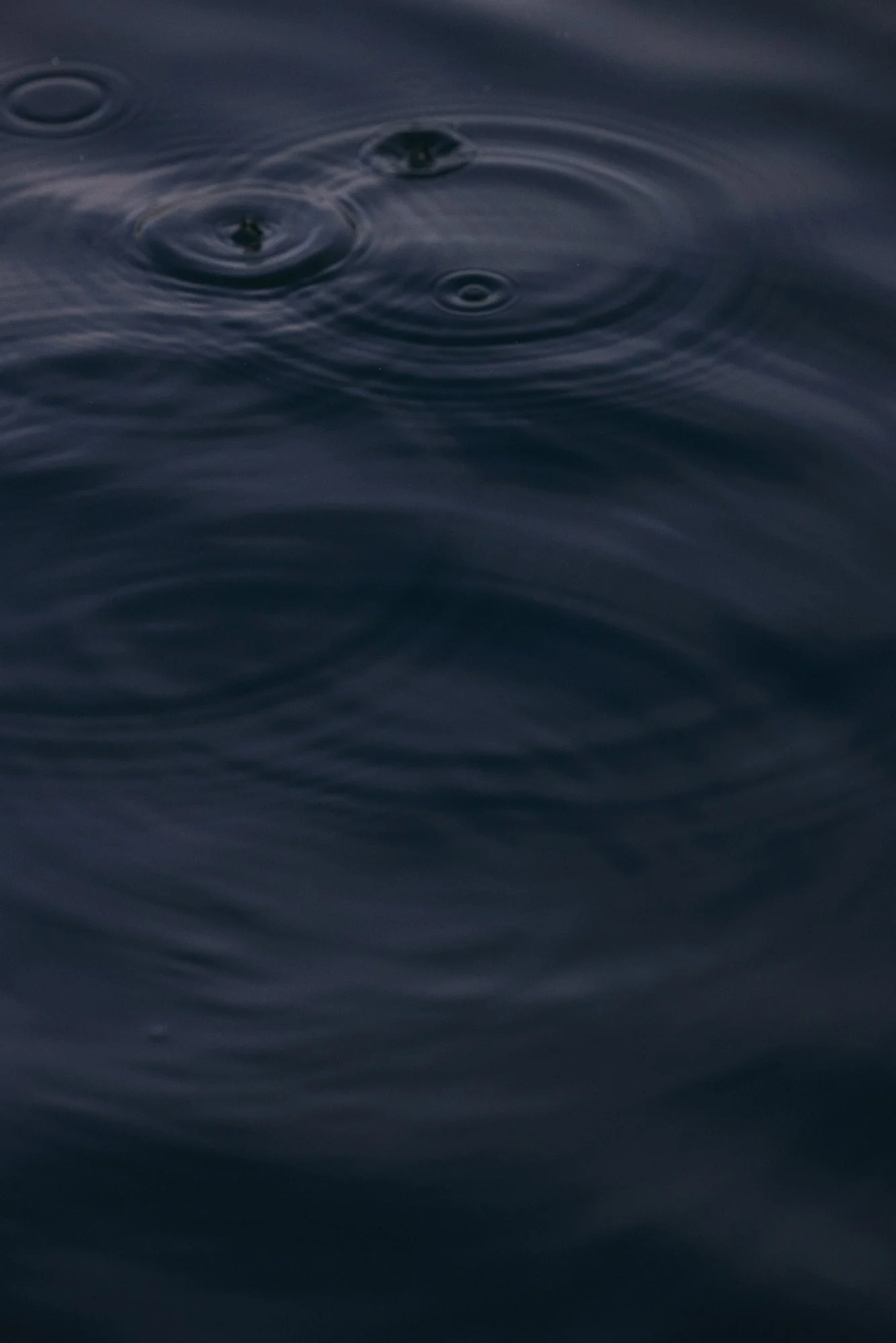 claudialink-photodesign-fotografin-fischen-reportage_0022.jpg