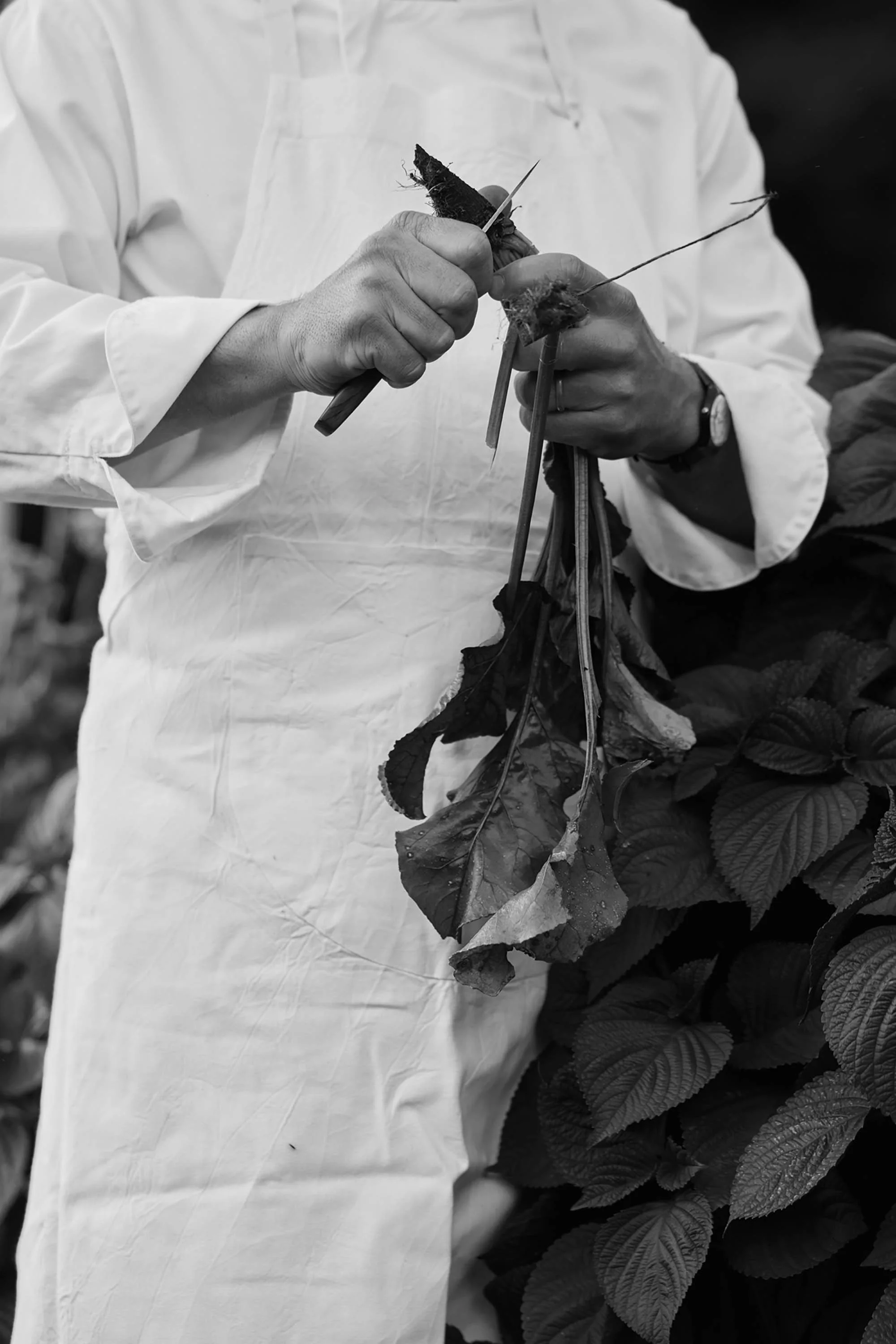 claudialink-photodesign-fotografin-GMC-Pinte des Mossettes_169.jpg