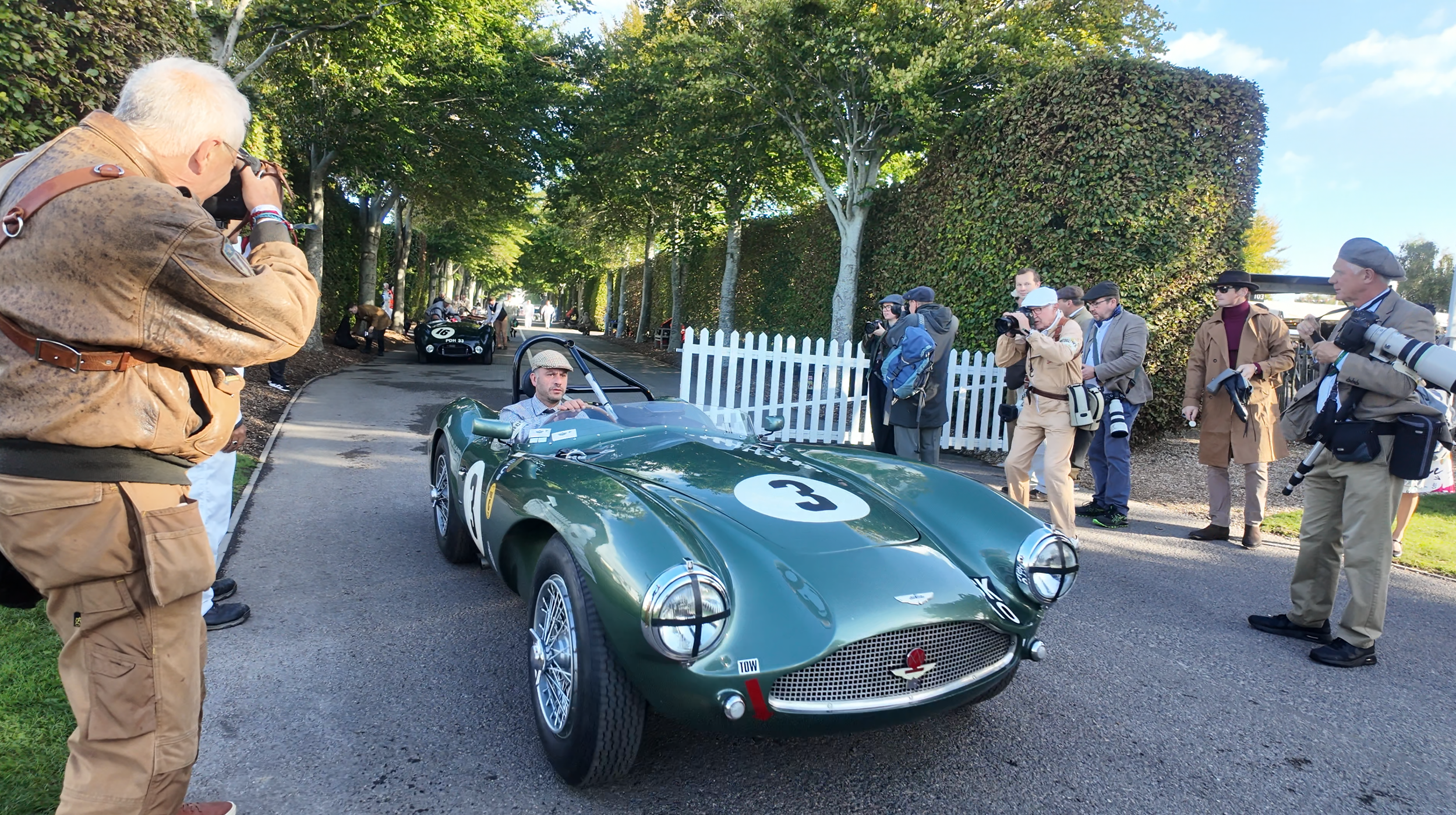 Goodwood Revival 2025 - Aston Martins.png