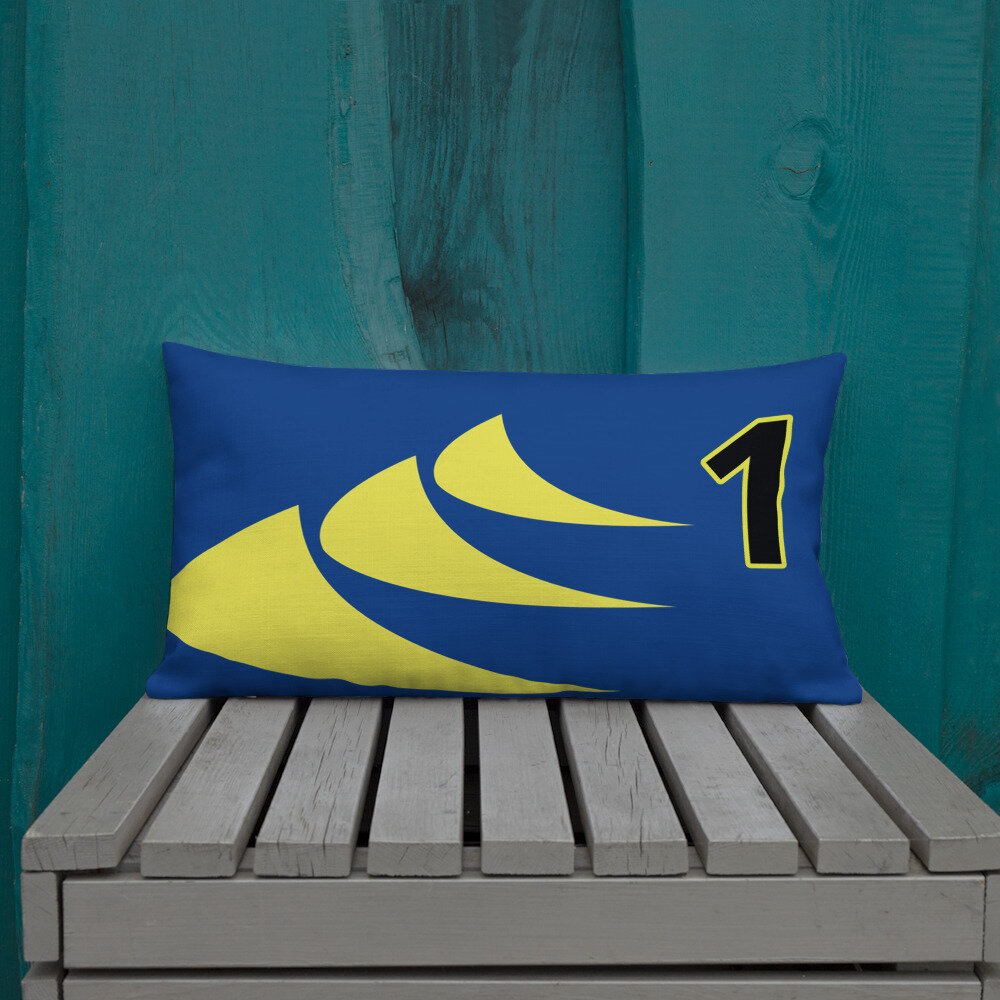 all-over-print-premium-pillow-20x12-front-lifestyle-1-61632e3d6823f.jpg