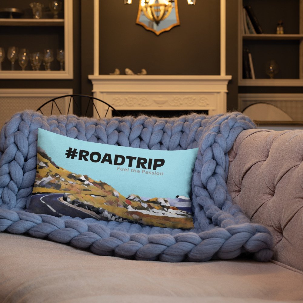 all-over-print-premium-pillow-20x12-front-lifestyle-3-62b8a3d4a3c8b.jpg