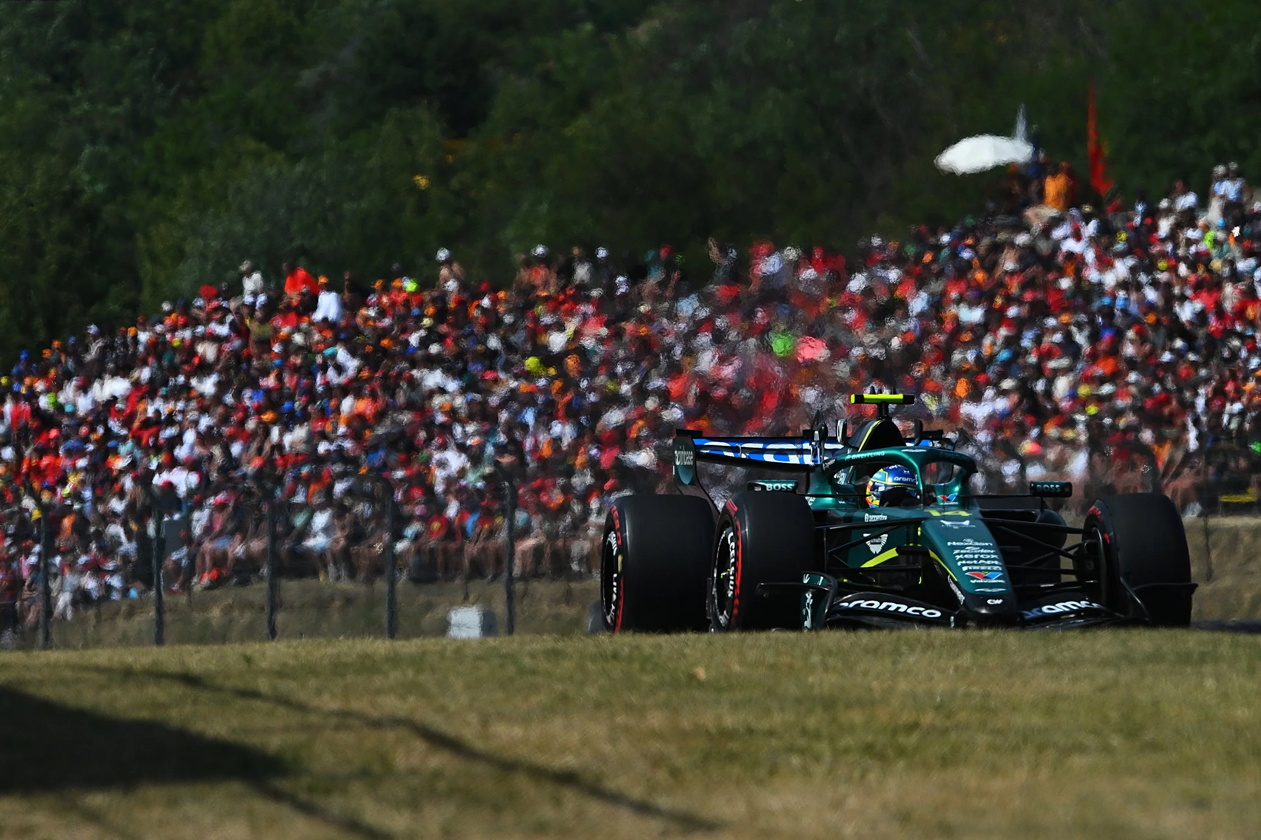 A race car with a green and black livery on a track, surrounded by a large crowd of spectators behind a fence, with trees in the background.