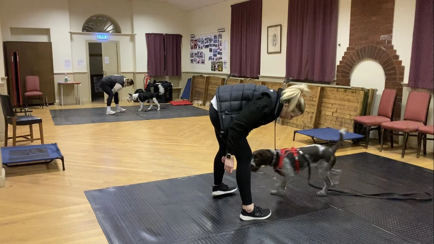 Indoor dog training class with two women and two dogs, mats on the floor, chairs along the wall, and a bulletin board.