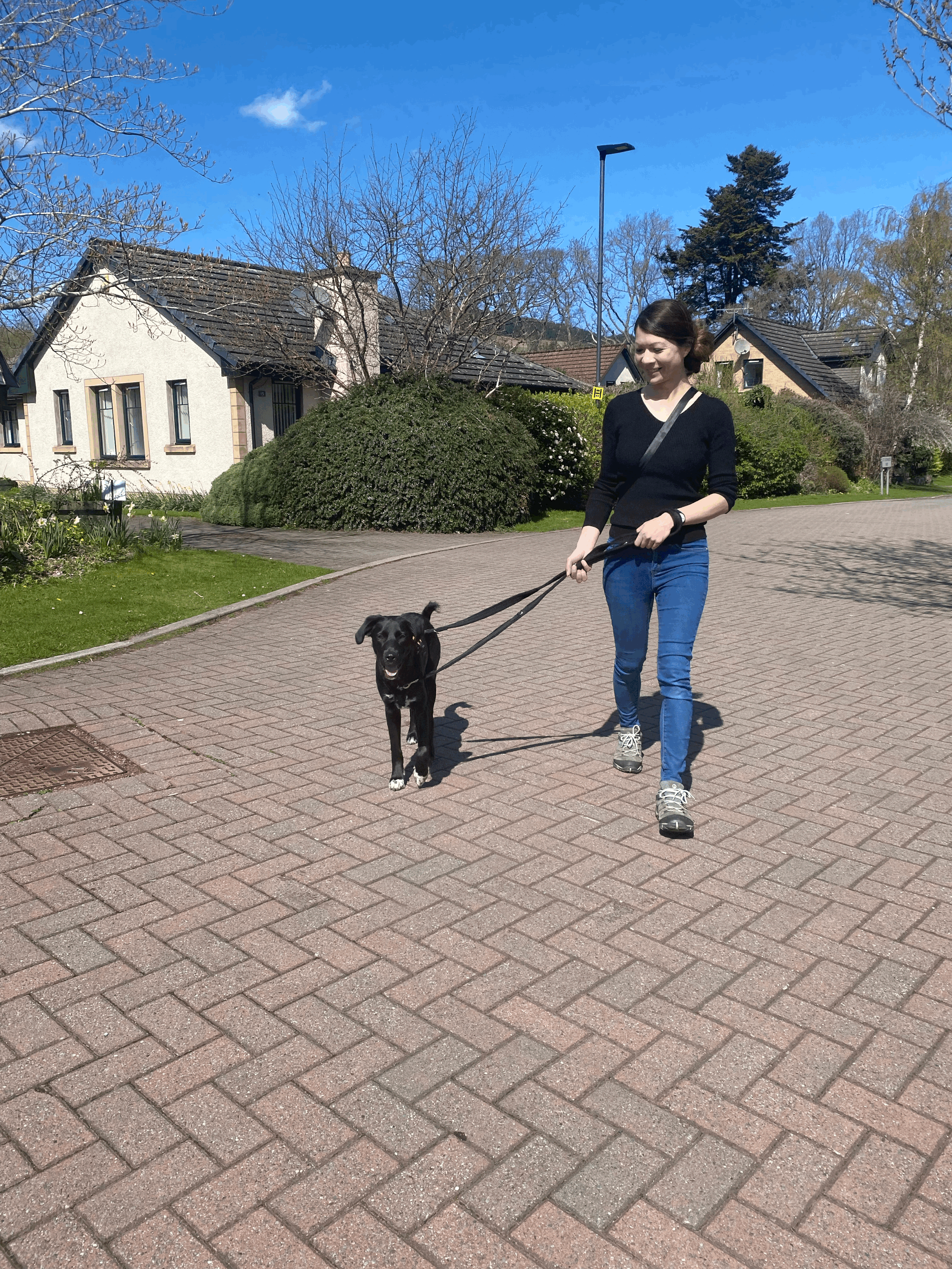 A woman walking a black dog along a paved street in a suburban neighborhood on a sunny day.