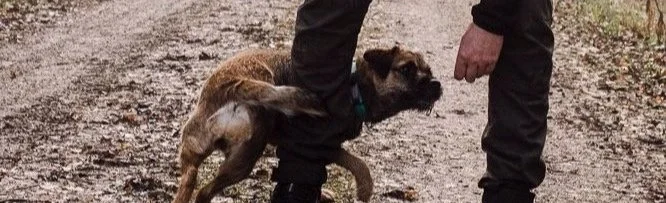 Person standing on muddy ground with a small dog between their legs.