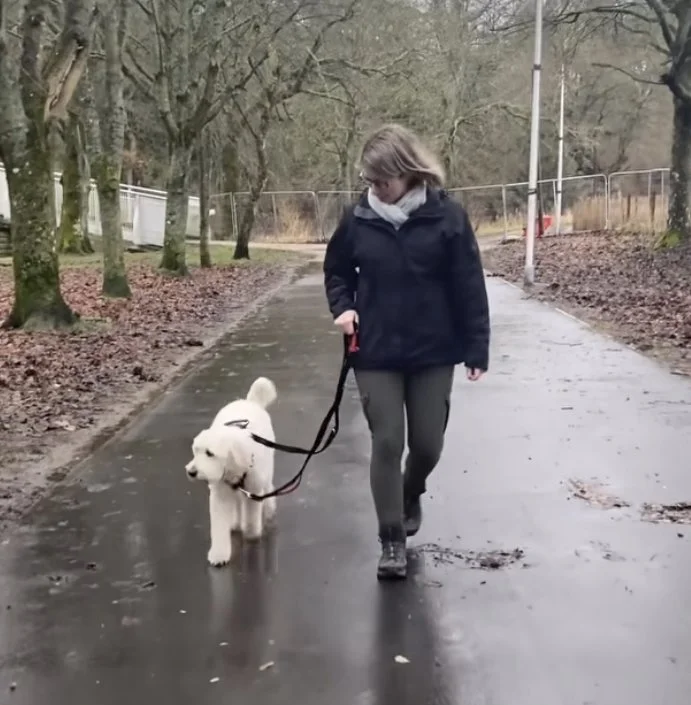 A woman walking a white dog on a leash in a park with trees and a paved pathway.