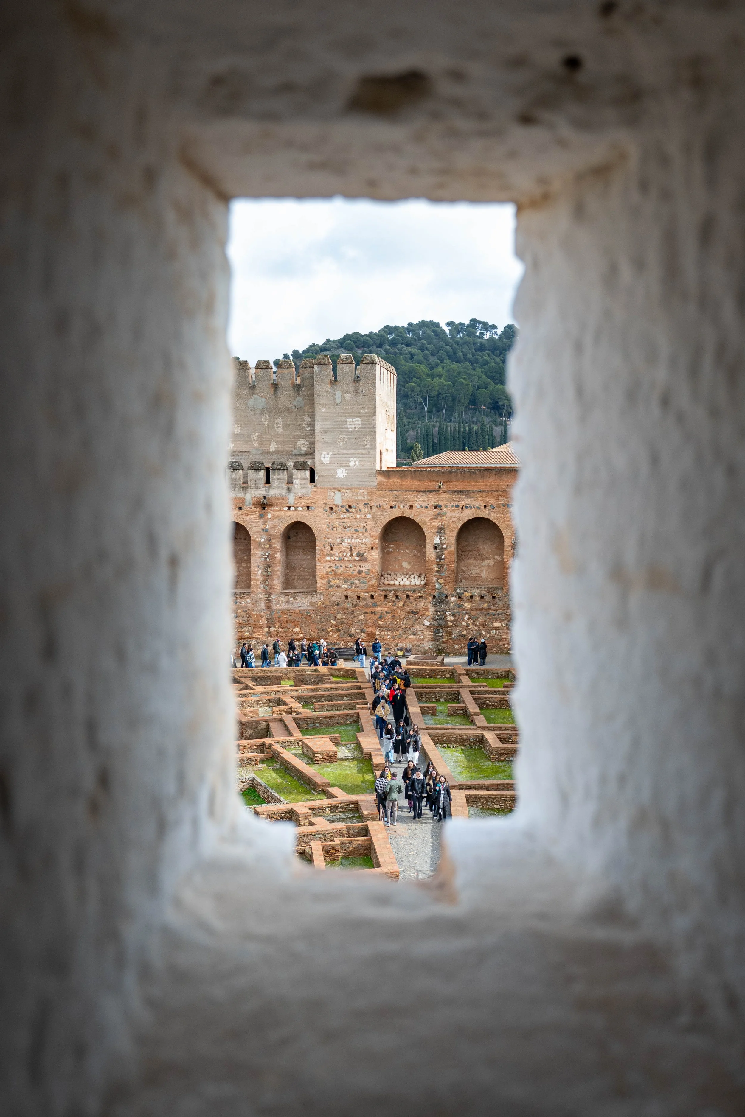 grounds through window.jpg