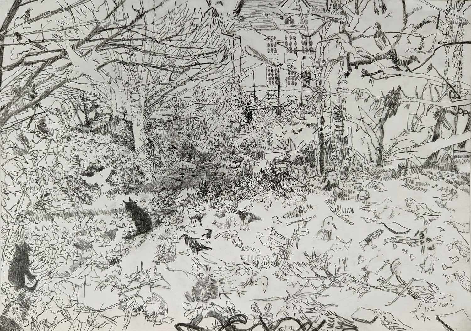 Alexandra_Blum_graphite_drawing_Winter_Laycock_Green_5_8_22.jpg