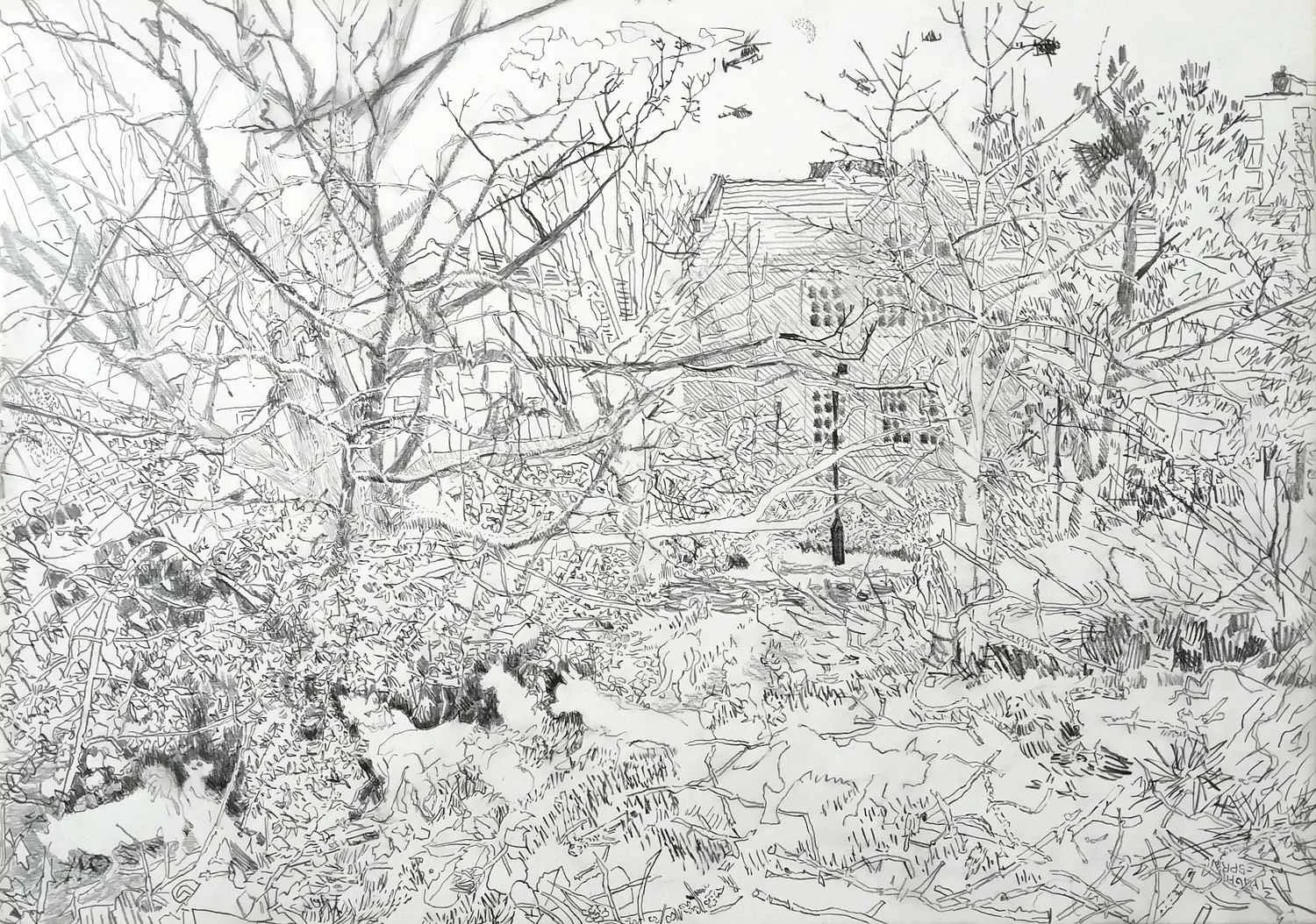 Watch Graham Crowley’s insightful response to my drawing ‘Sleeping Tree’