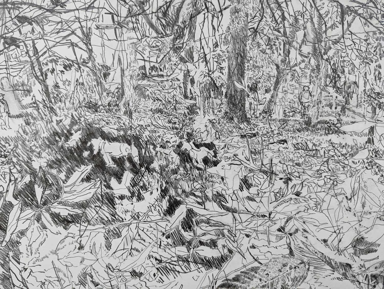 Detail of graphite drawing by Alexandra Blum dogs running autumn leaves trees layers Laycock Green London