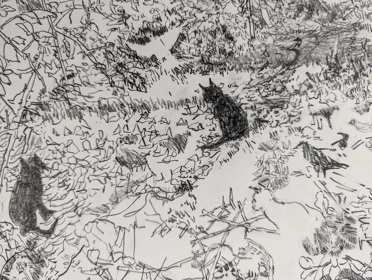 Graphite drawing by Alexandra Blum detail of cats staring at startled pigeon winter path Laycock Green Islington London