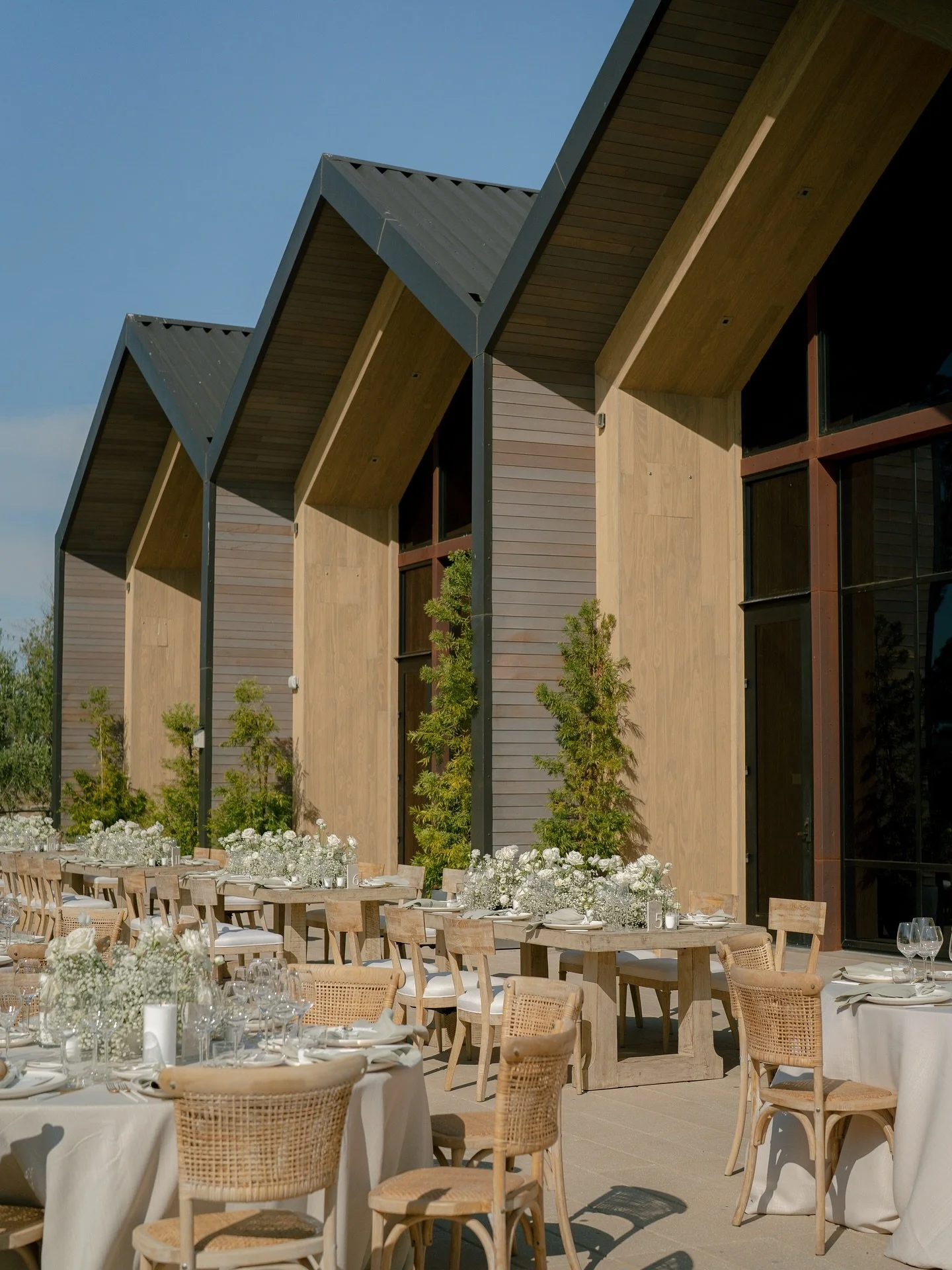 When every detail feels effortlessly perfect - from the textures to the tones.

Are you team neutral + natural or bold + colorful for wedding design?

#luxuryflorist #napavalleyweddings #weddinginspo #napavalley #weddingreceptiondecor