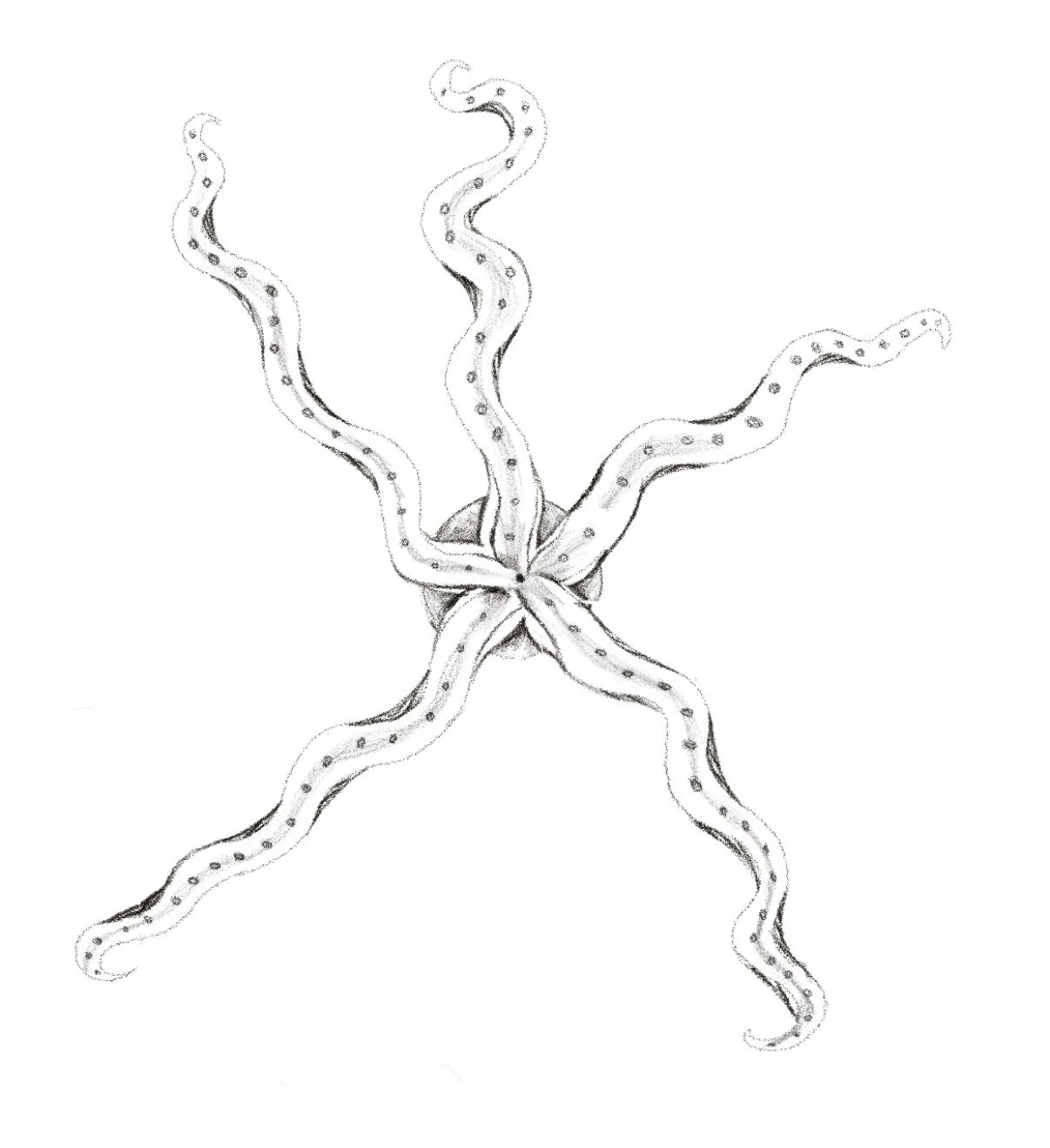 Screenshot 2025-11-17 at 1.49.15 PM.jpeg