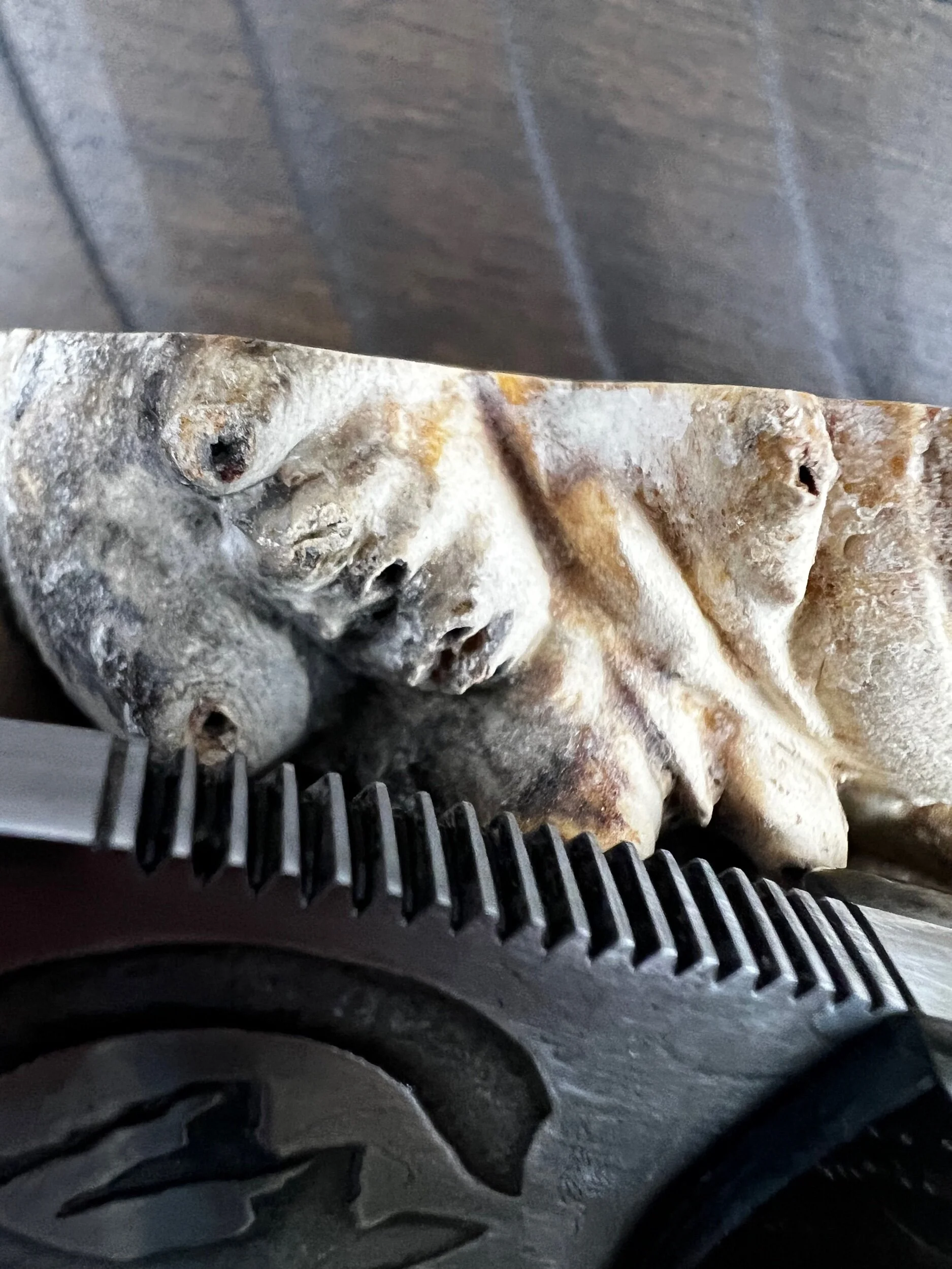 2346E017-D5F8-41C0-A488-E5BFE1E8950D