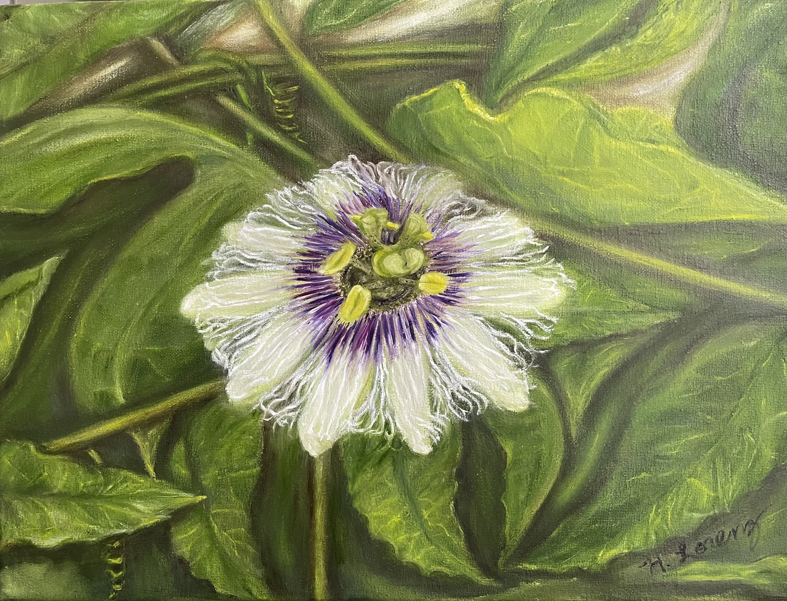 Heather Lorenz spring bloom 11x14.jpeg