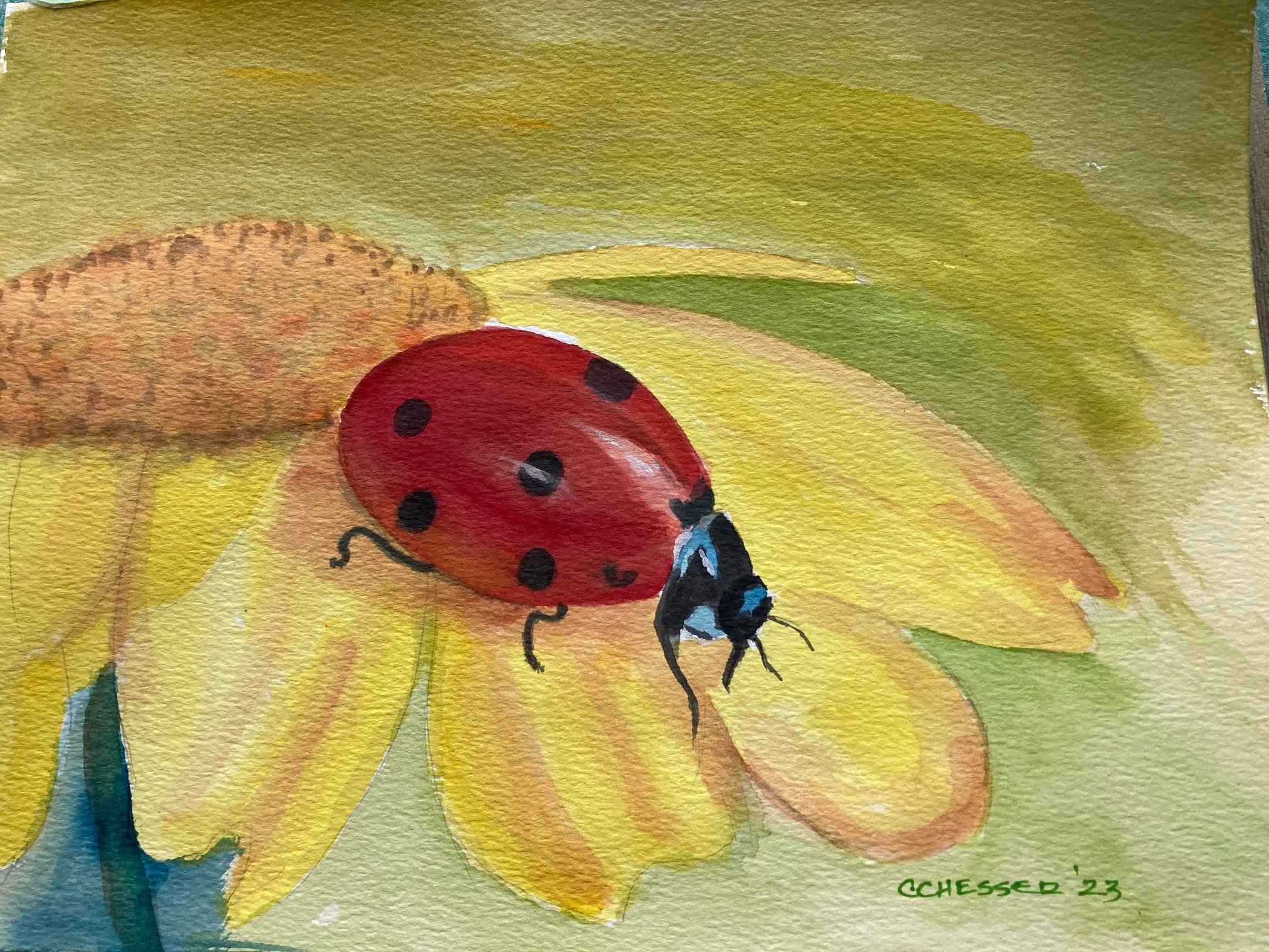 Chesser_Ladybug...ladybug_Watercolor_9x12_$150.jpg