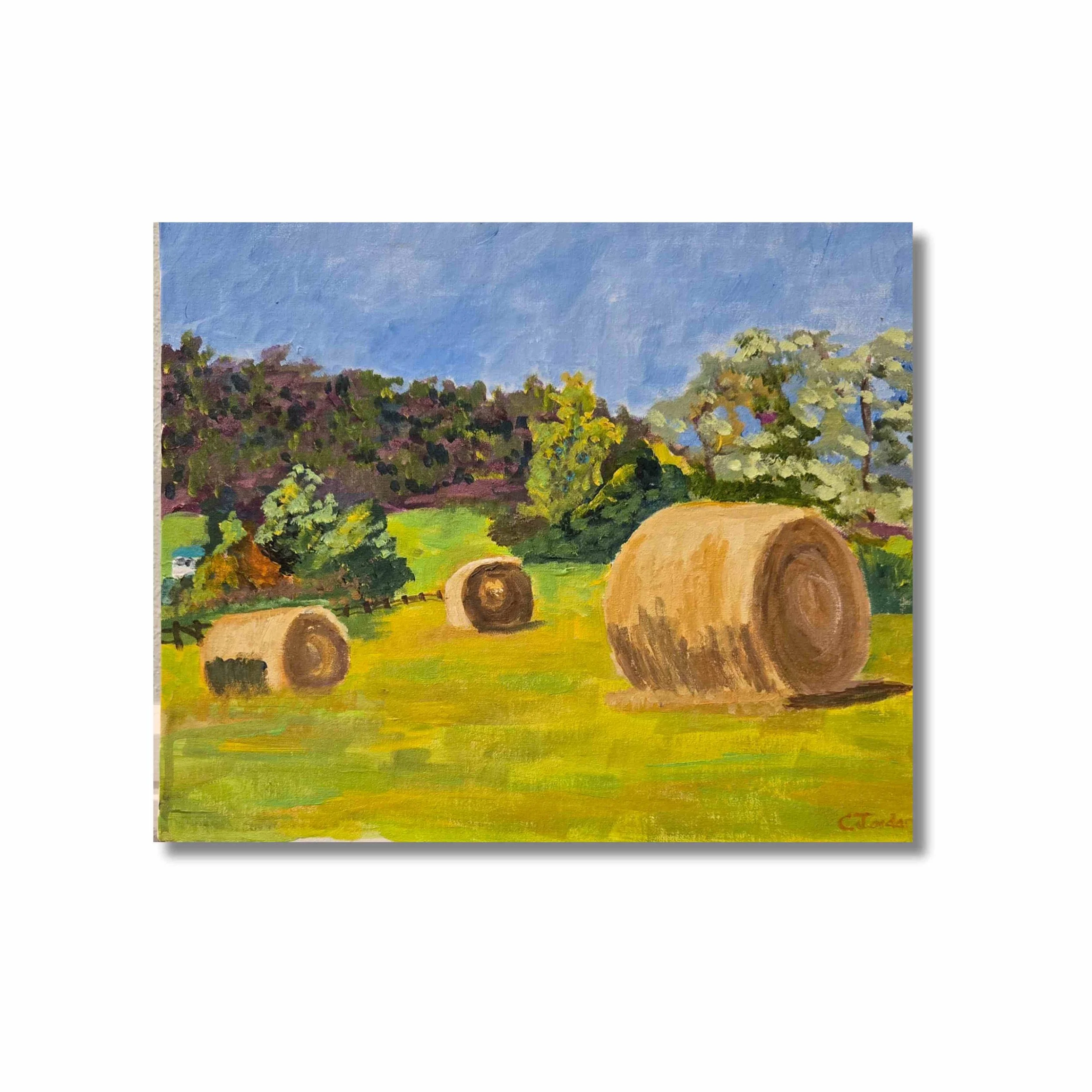 Crystal Jordan Hay Bales.jpg