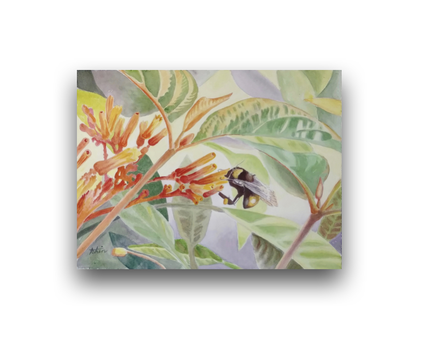 Screenshot 2026-03-24 at 4.52.18 PM.png