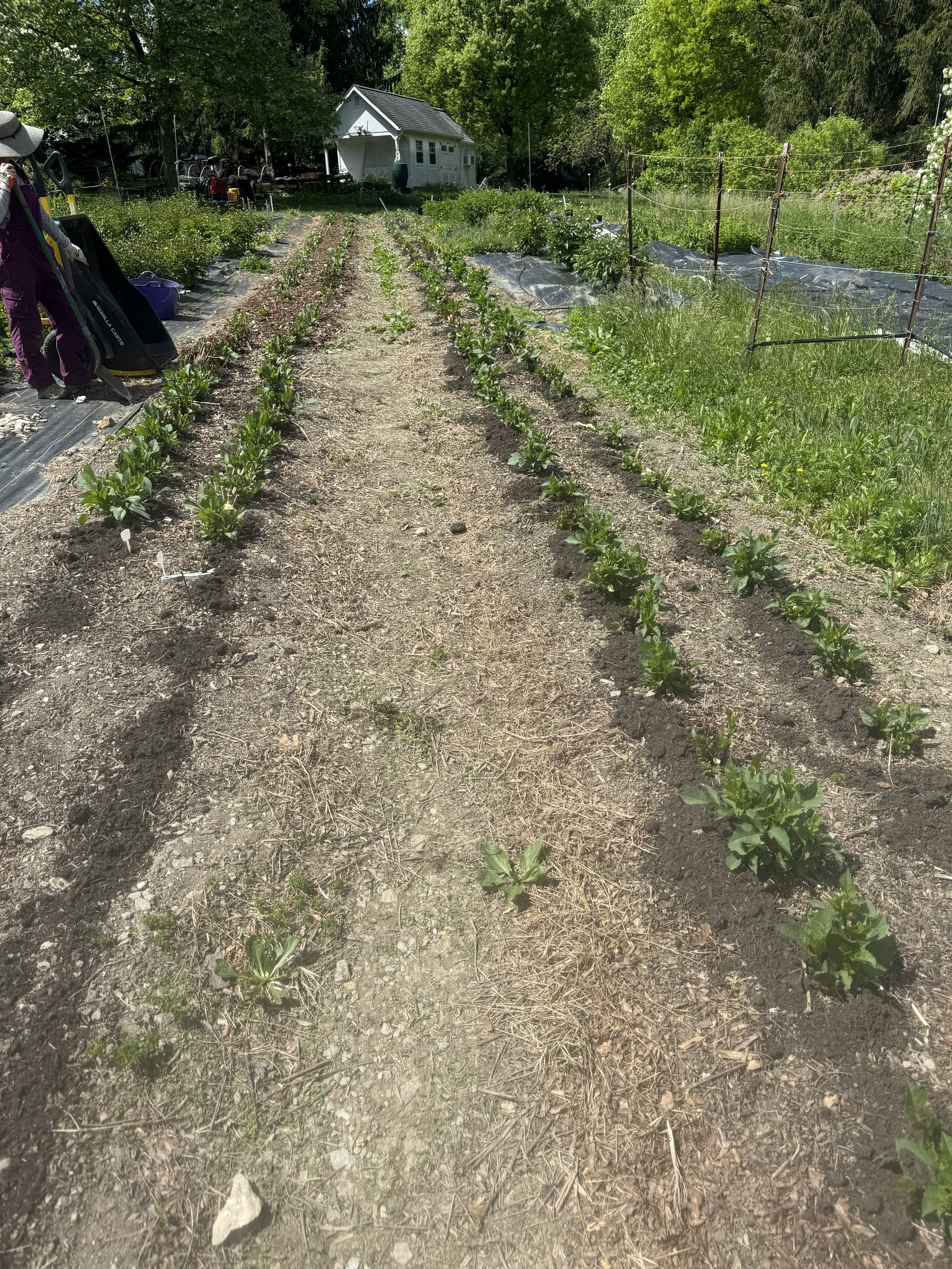 Overwintering success!