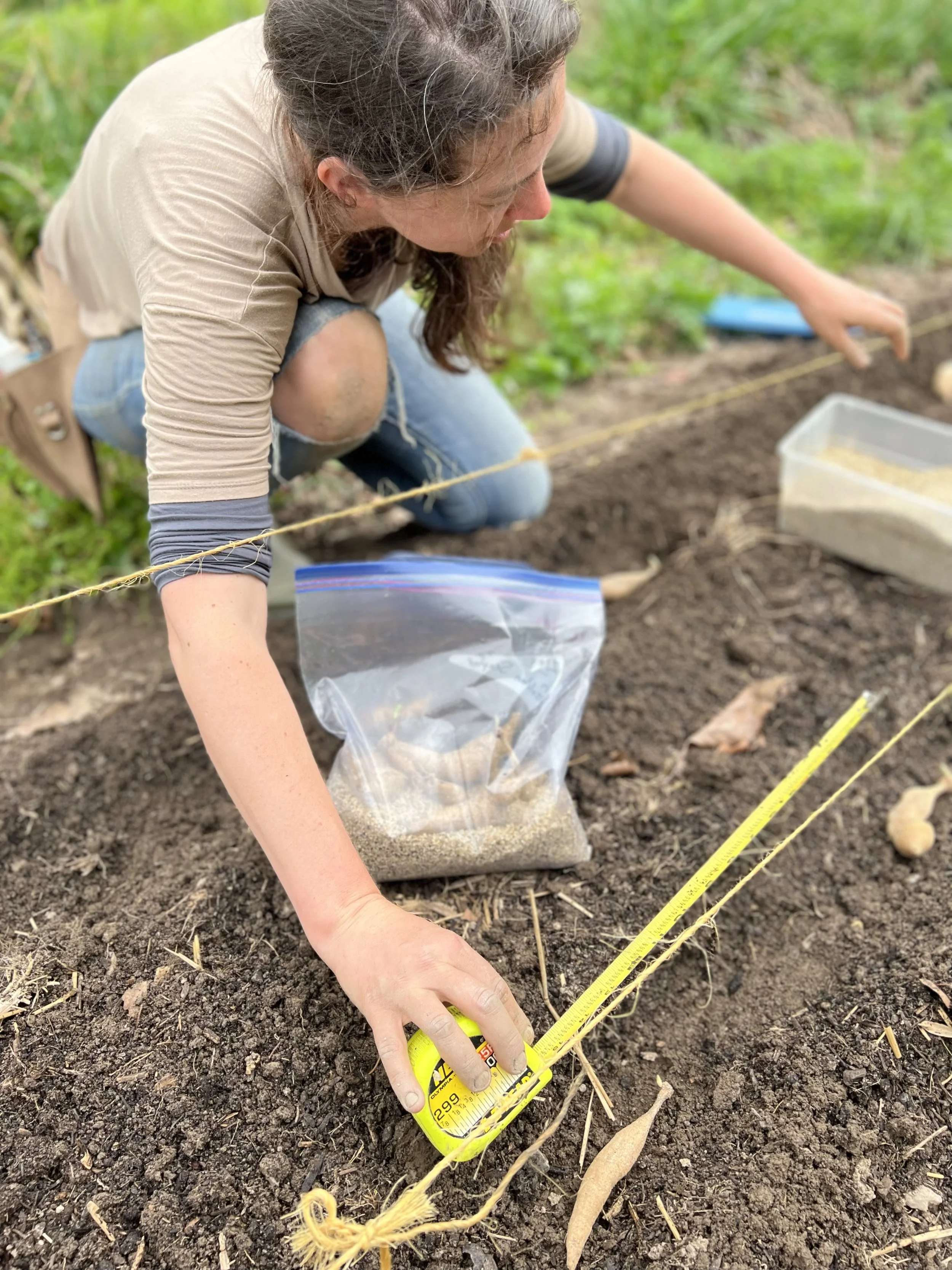 Establishing a new field