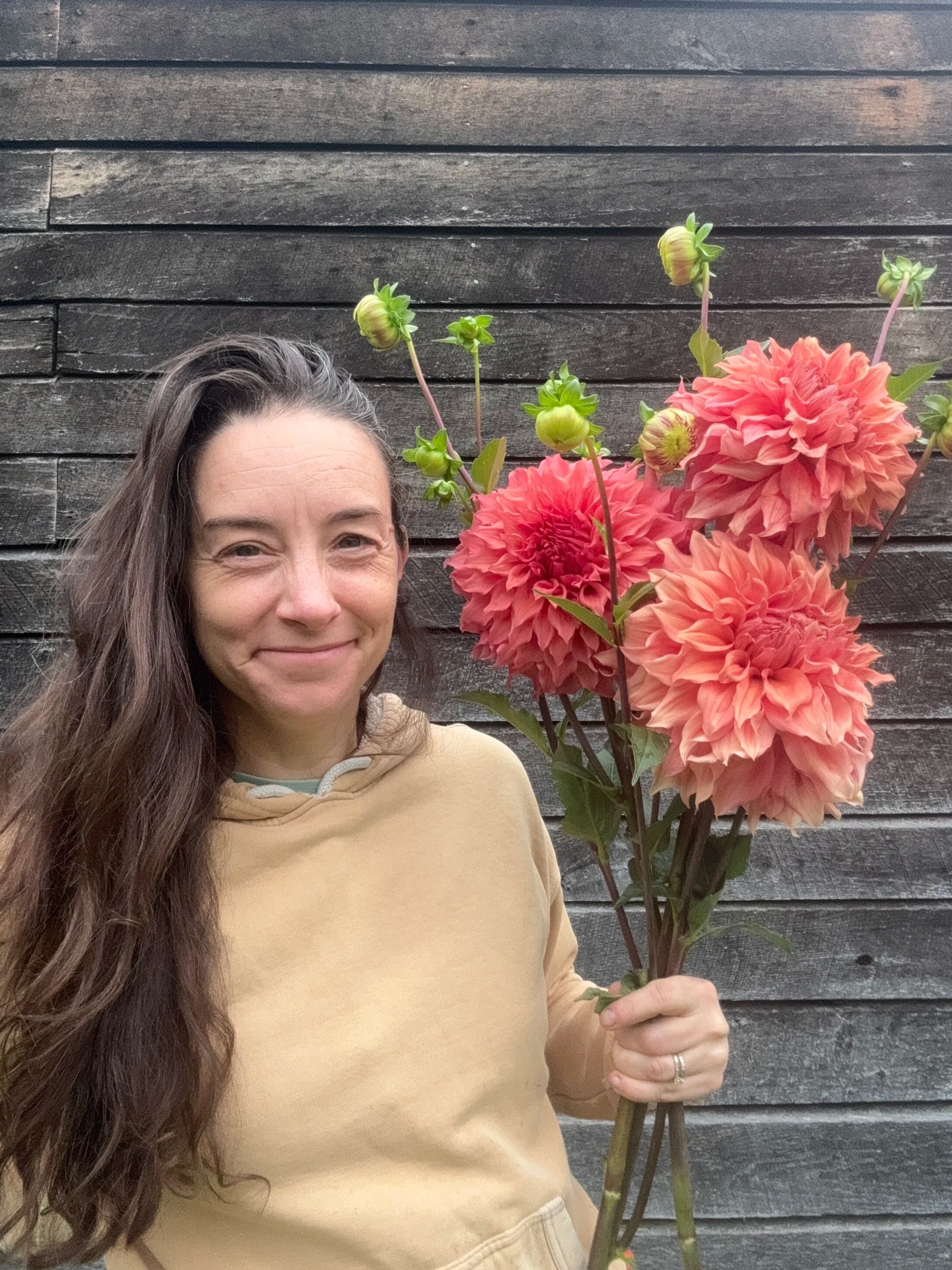 Why We Are Digging Our Dahlias after Perennializing: Results of our Three Year Experiment