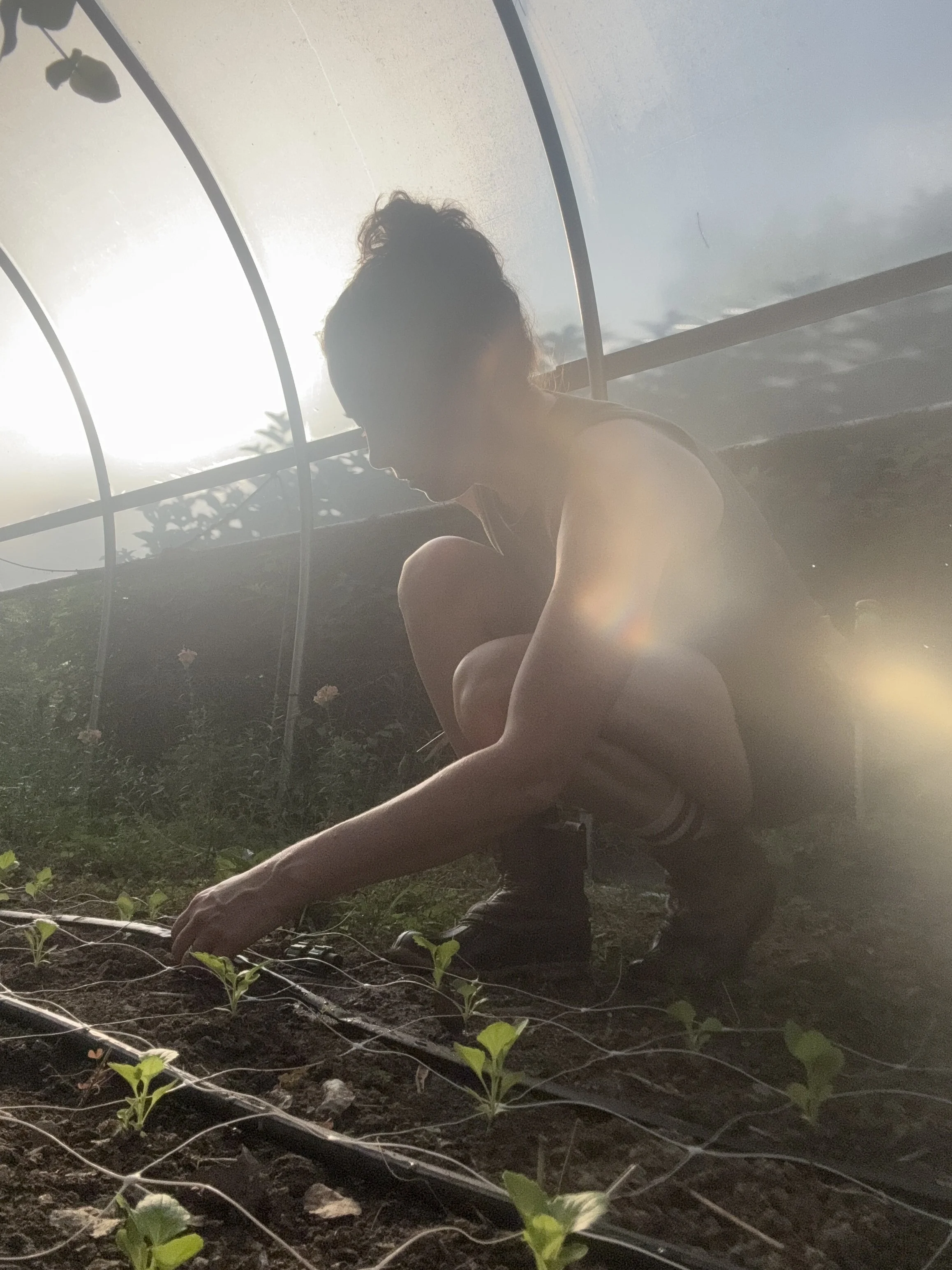 Field Notes June 29-July 2: Caring for the Babies