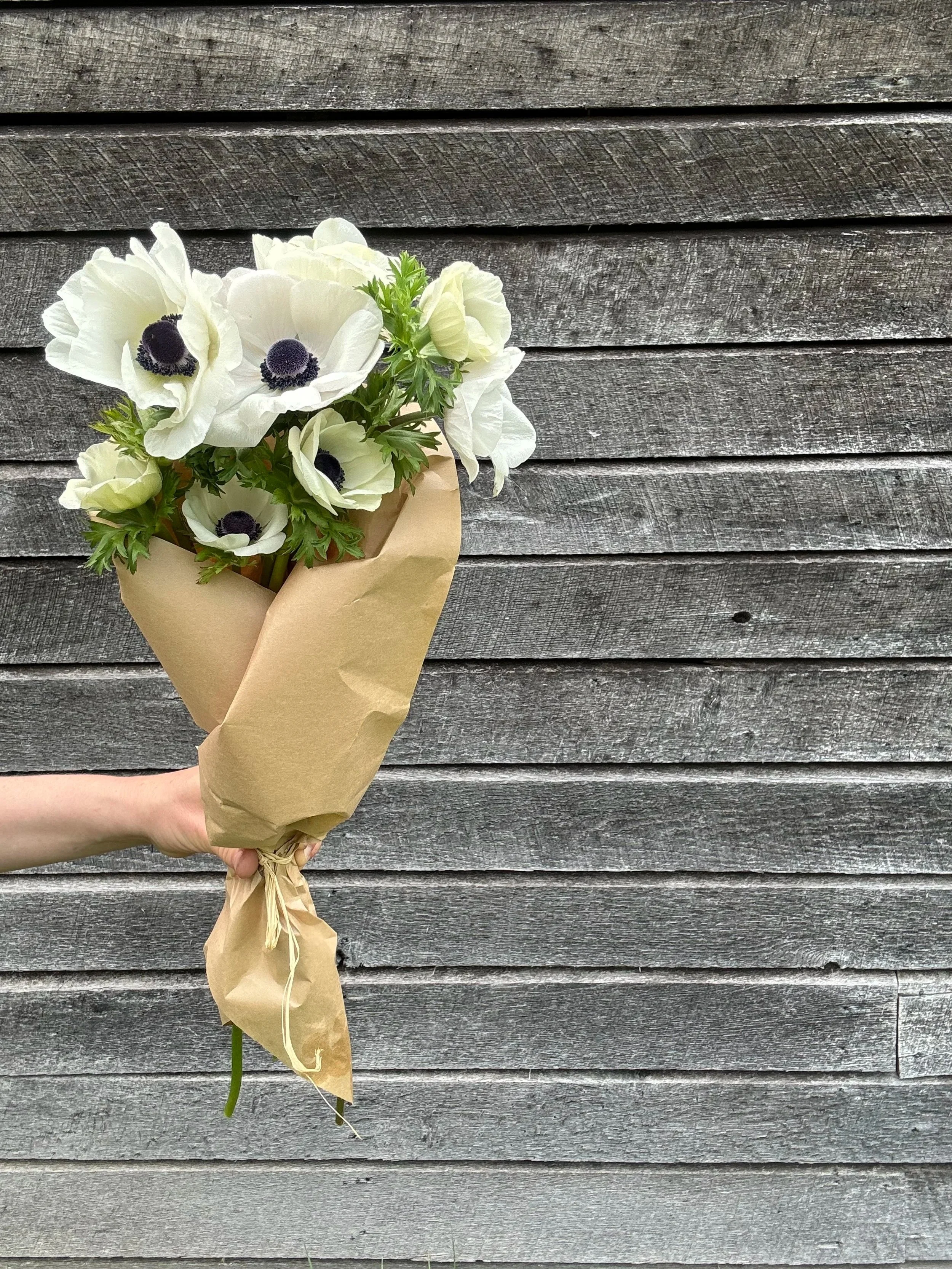 Spring CSA Subscription