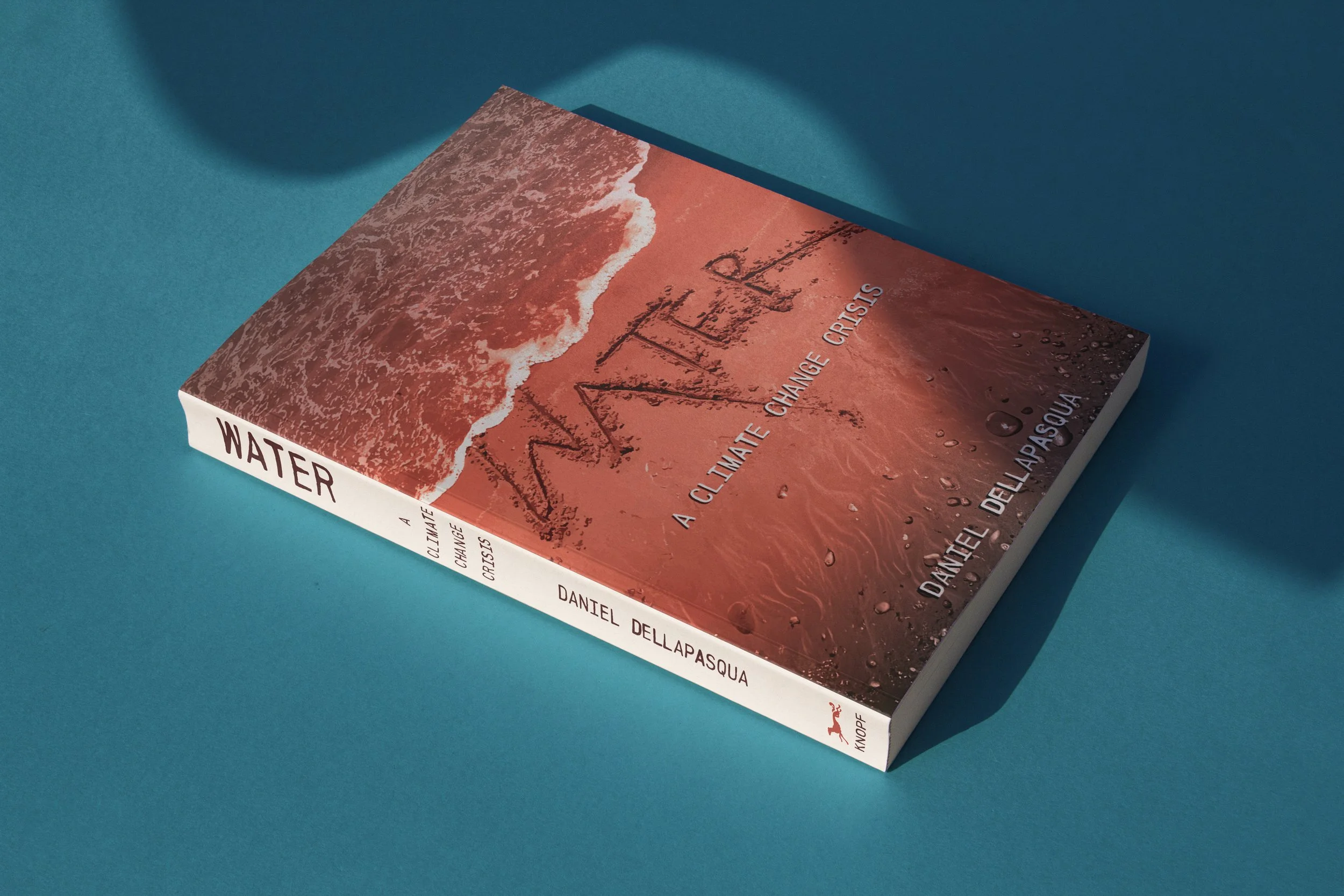 Book cover mockup corrected.jpg