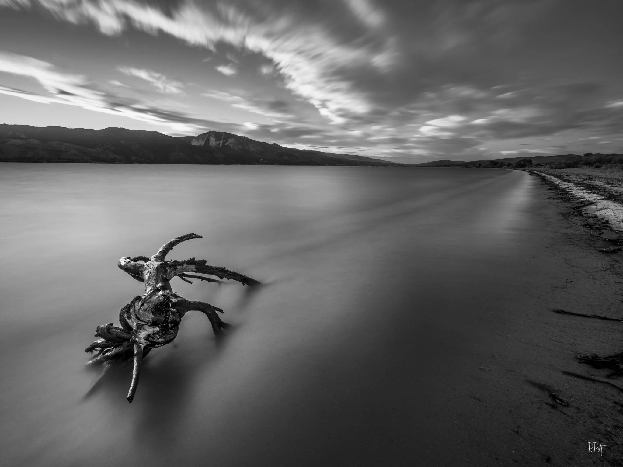 Rick Pott - 2024091419033545-Edit.jpg