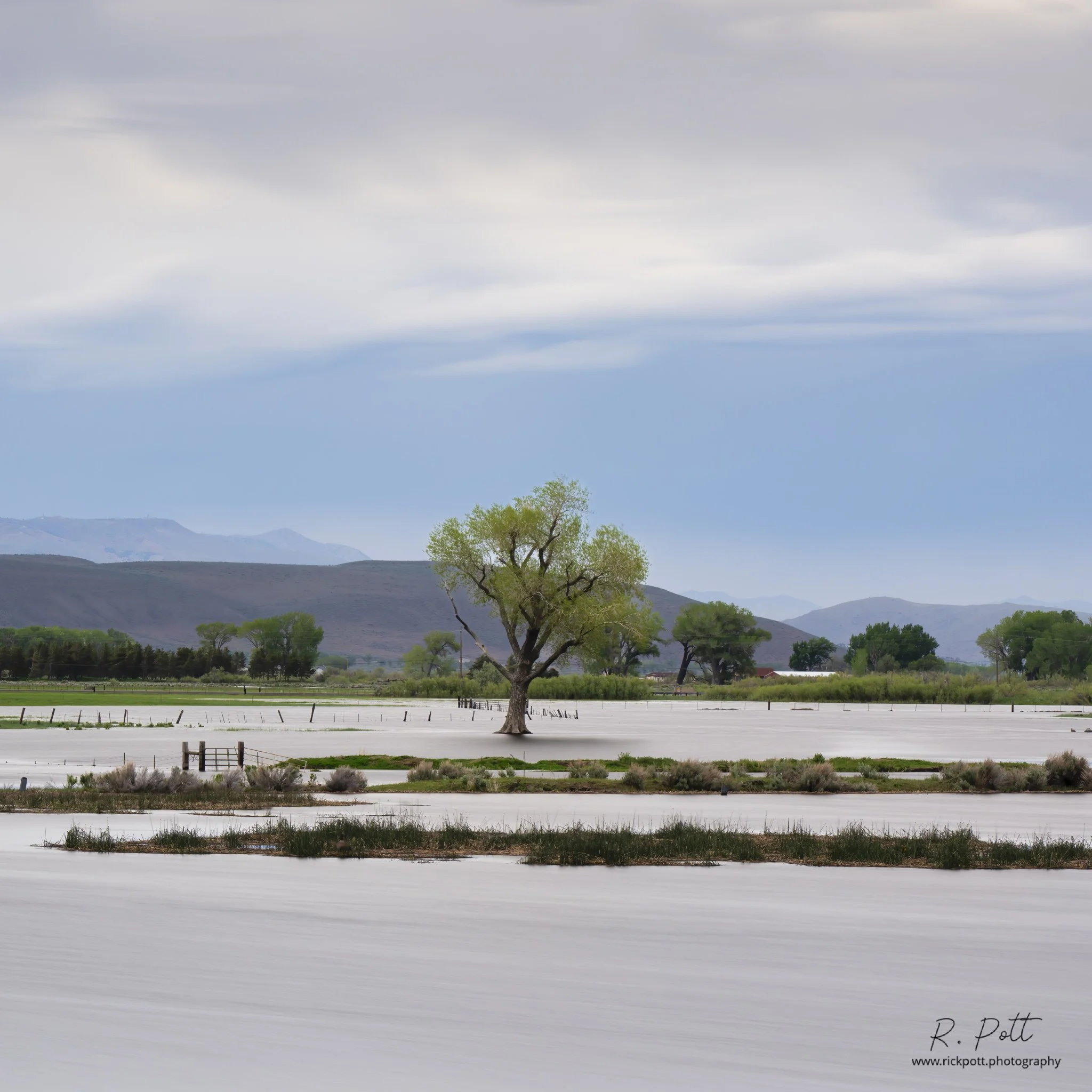 Rick Pott - 202305211759146-Edit-Edit.jpeg