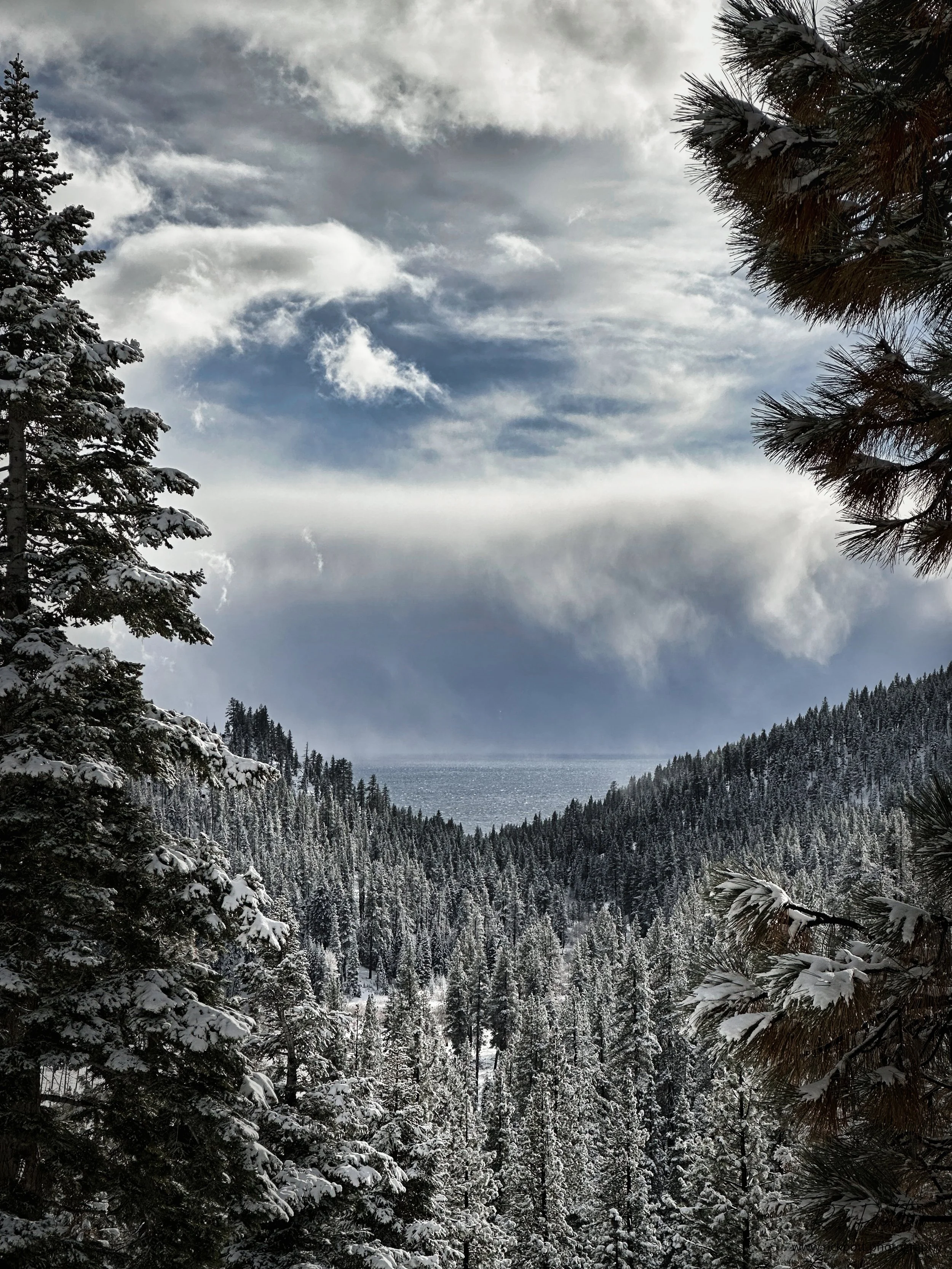 Rick Pott - 202212041455401-Edit.jpg