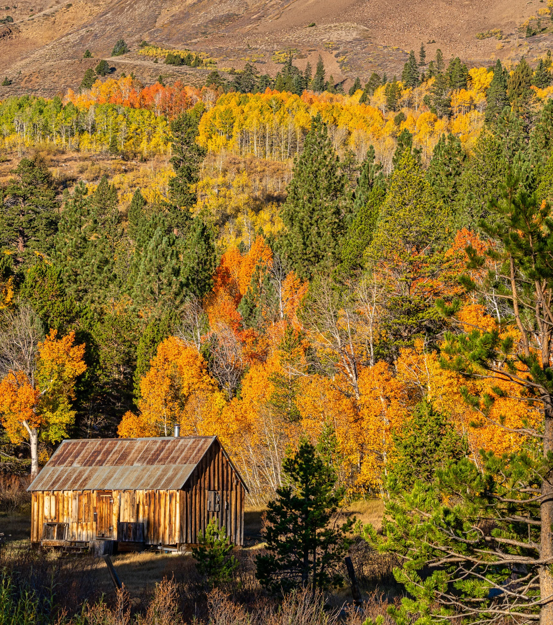 Hope Valley, CA Barn