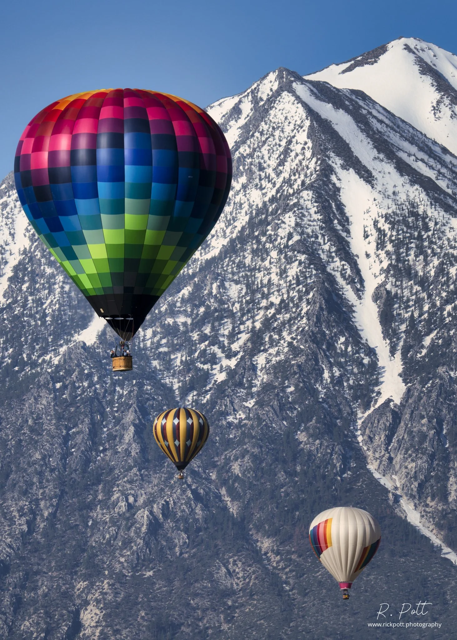 Rick Pott - 2023051907485279-Edit-2.jpeg