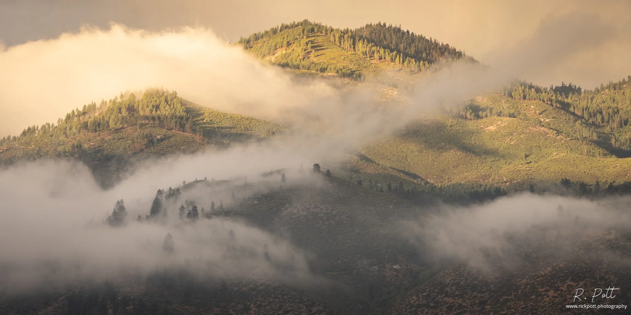 Rick Pott - 2022092107150519.jpg