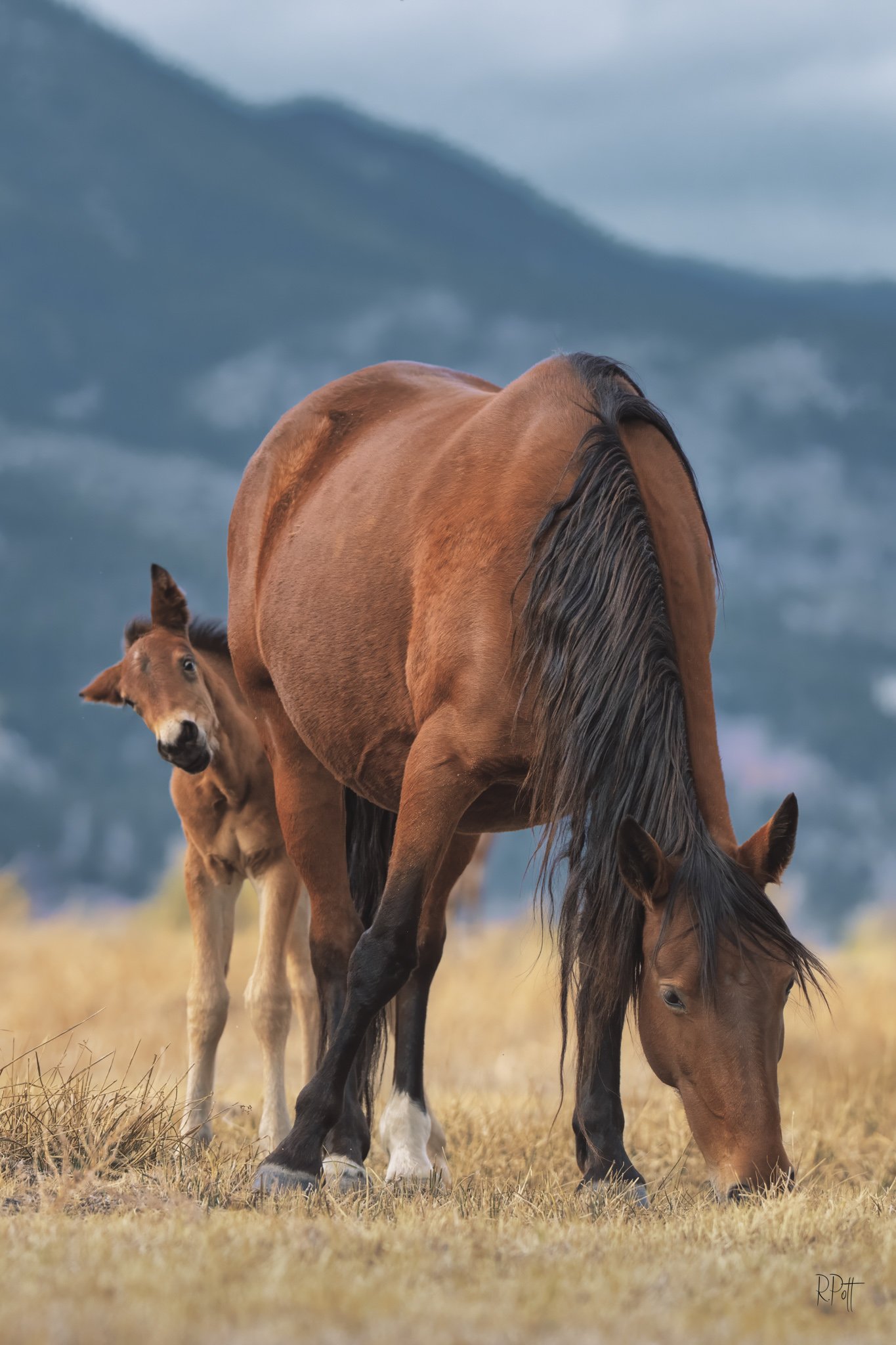 Rick Pott - 2023110516572751-Edit-Edit.jpg