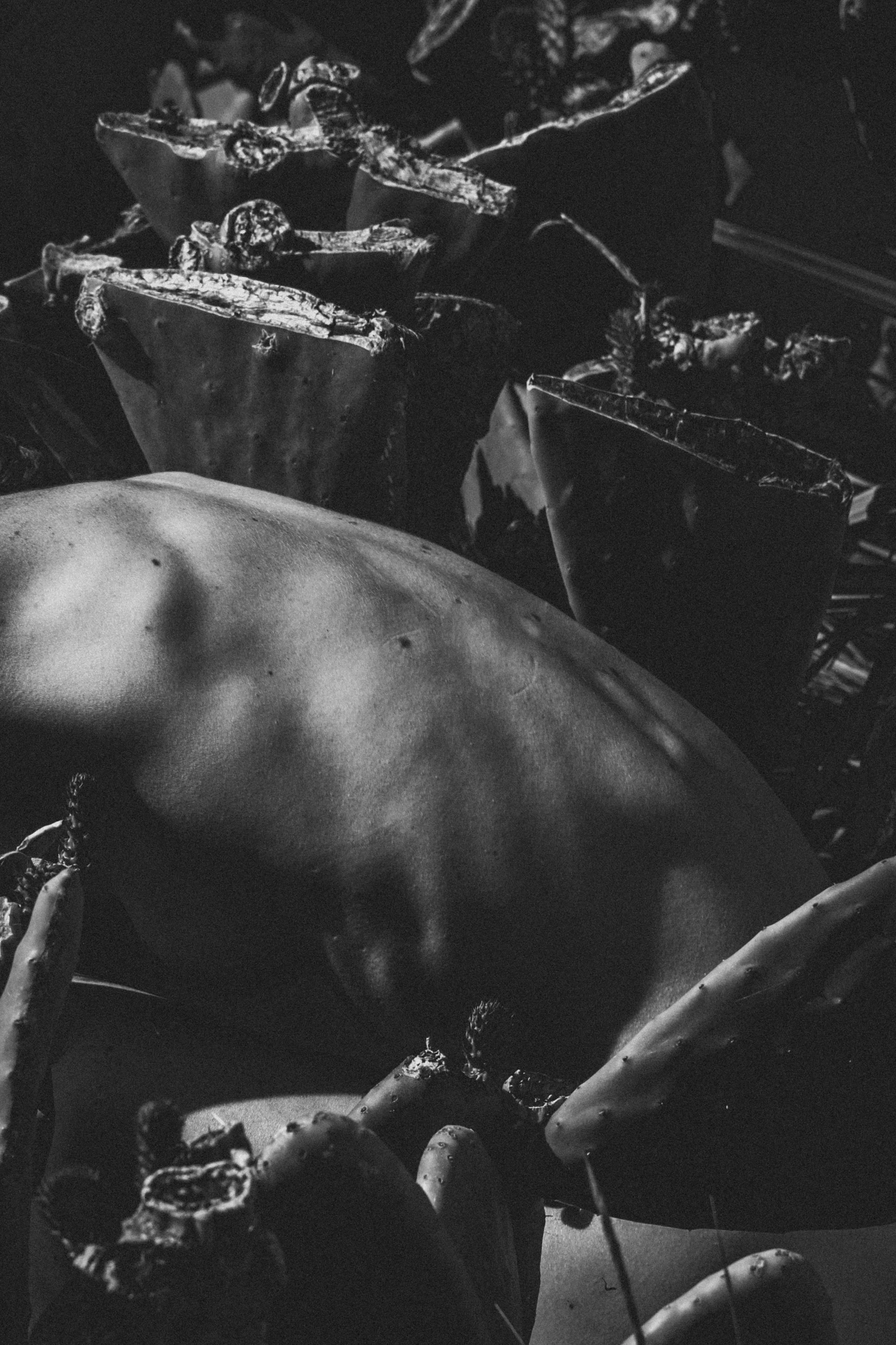 Maxim Naumann / Germany / Textured back