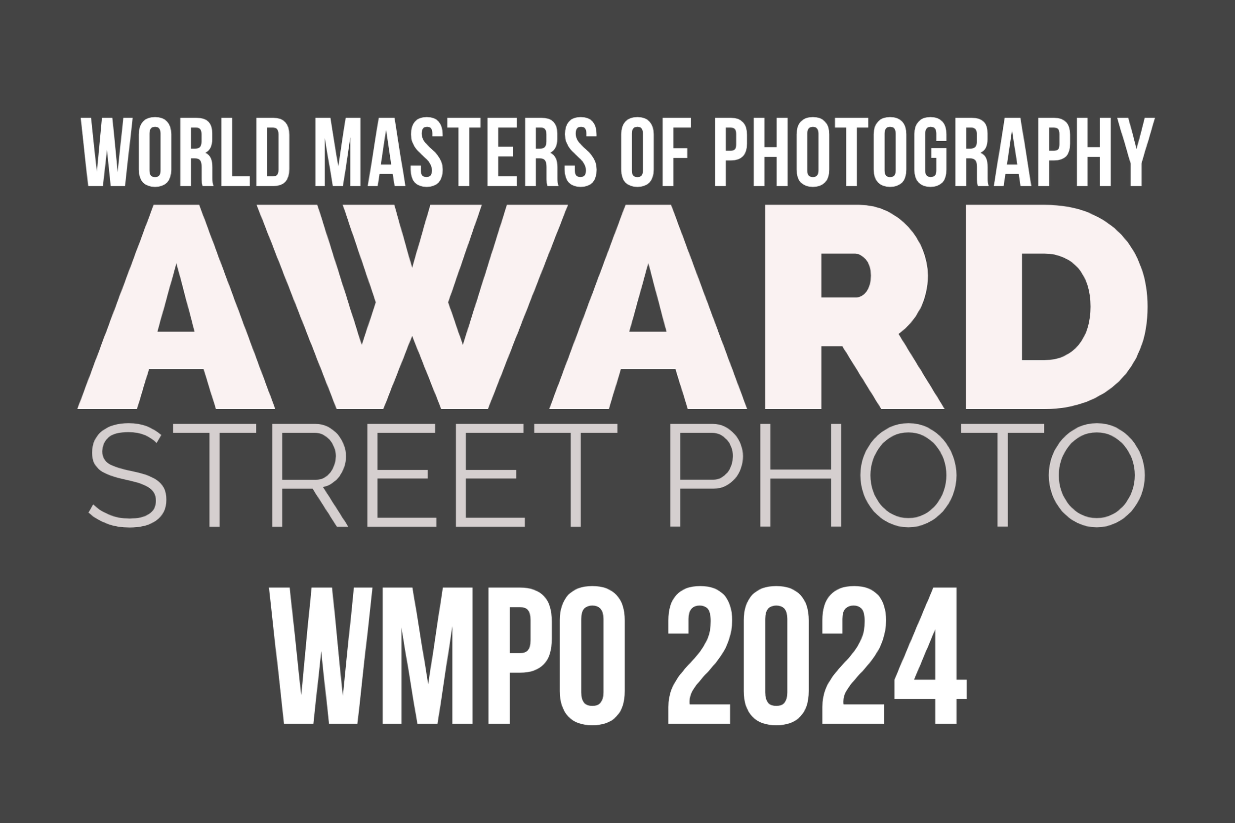 WMPO Photo Awards 2024 - World Masters of Photography Awards001.PNG