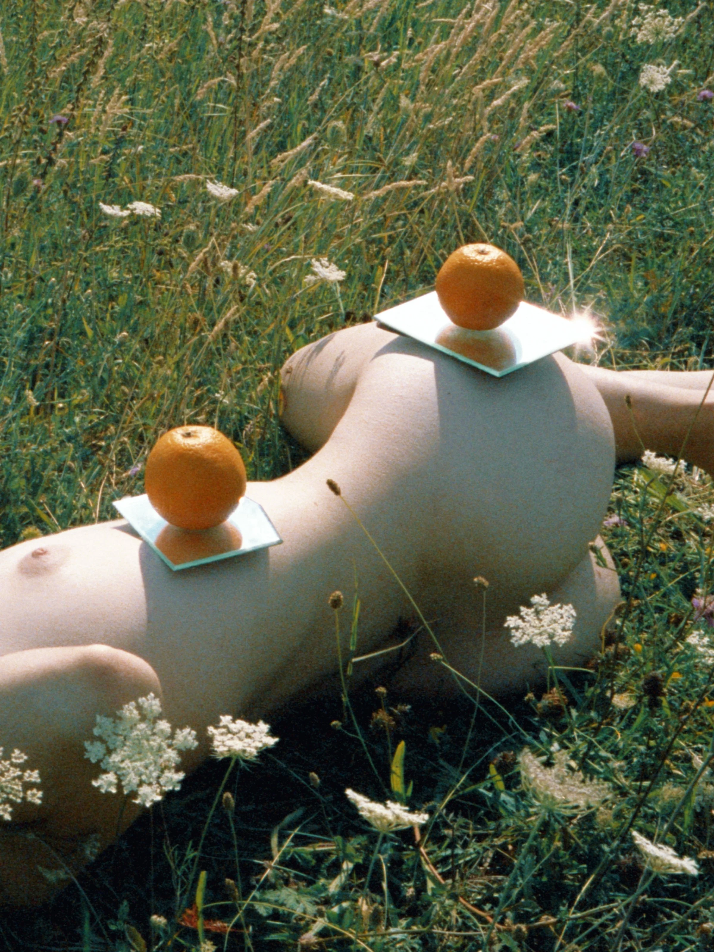 Charles Lu / United States / Jeu d'oranges