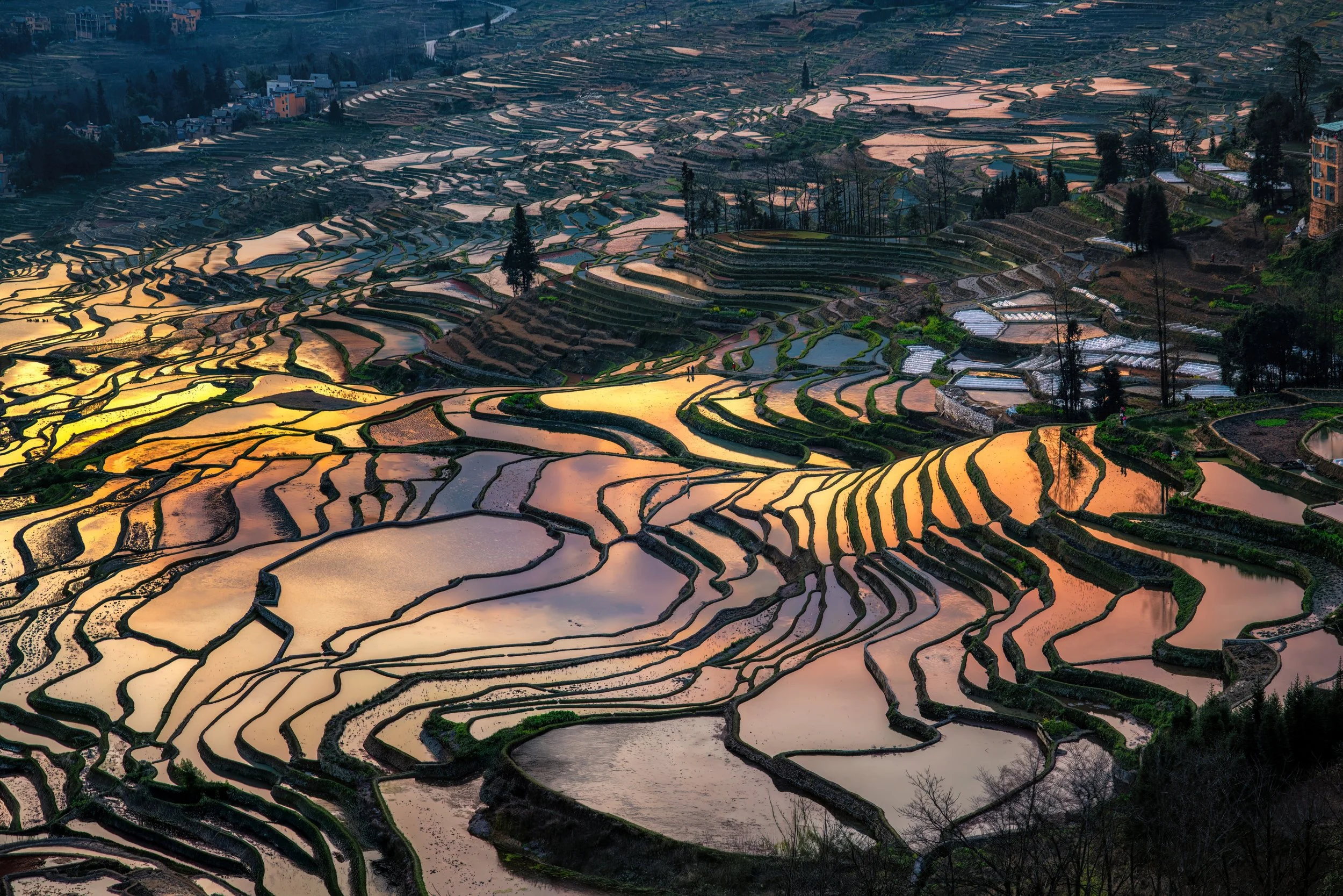 Alexander Seleznyov / Israel /